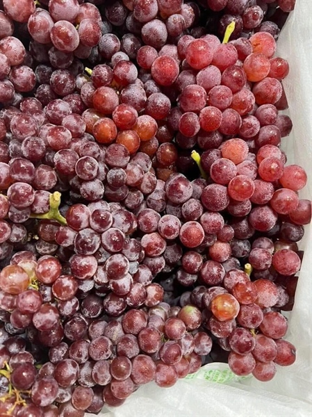 Nho Kẹo_thumbnail_2