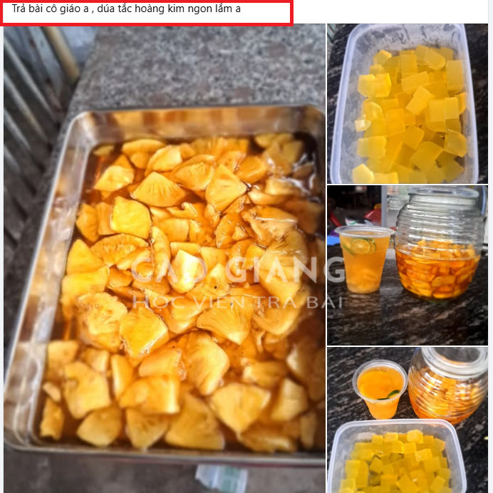 Lớp Nước Dứa Tắc Hoàng Kim_thumbnail_15