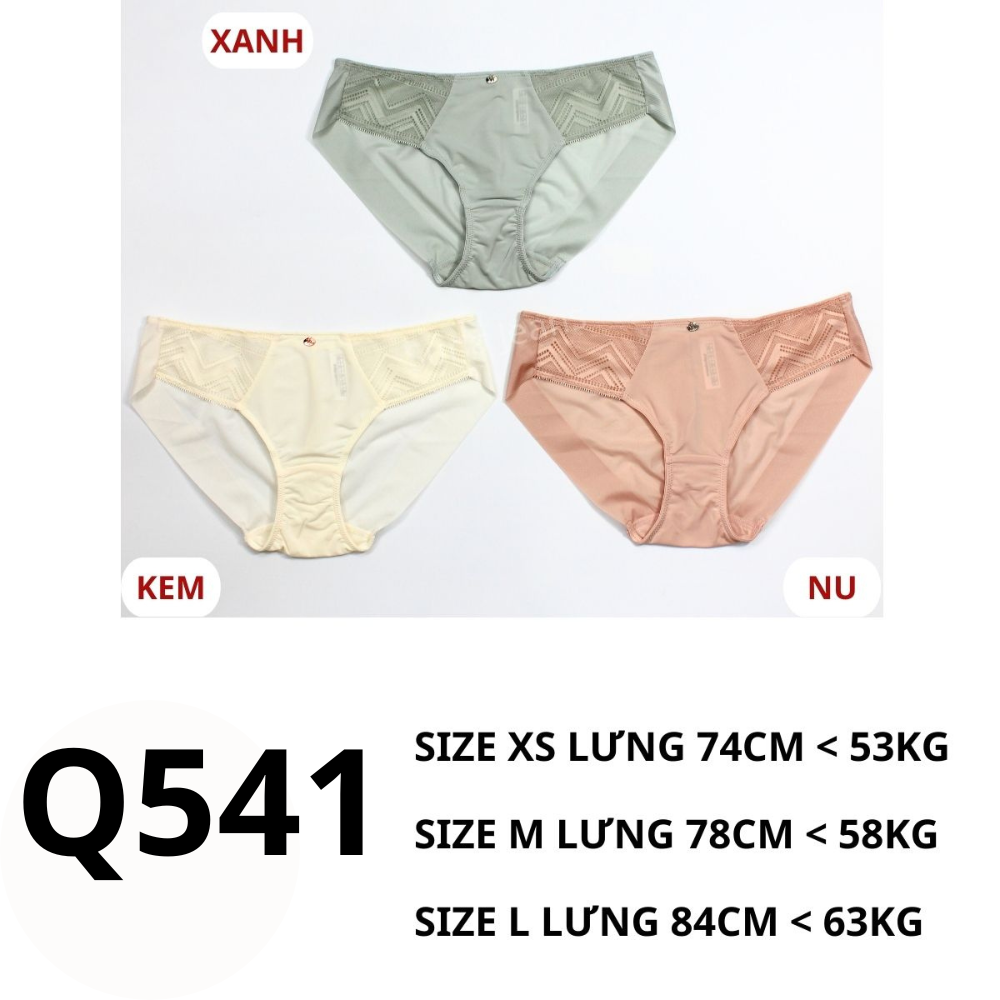 Q541 Quần chip
