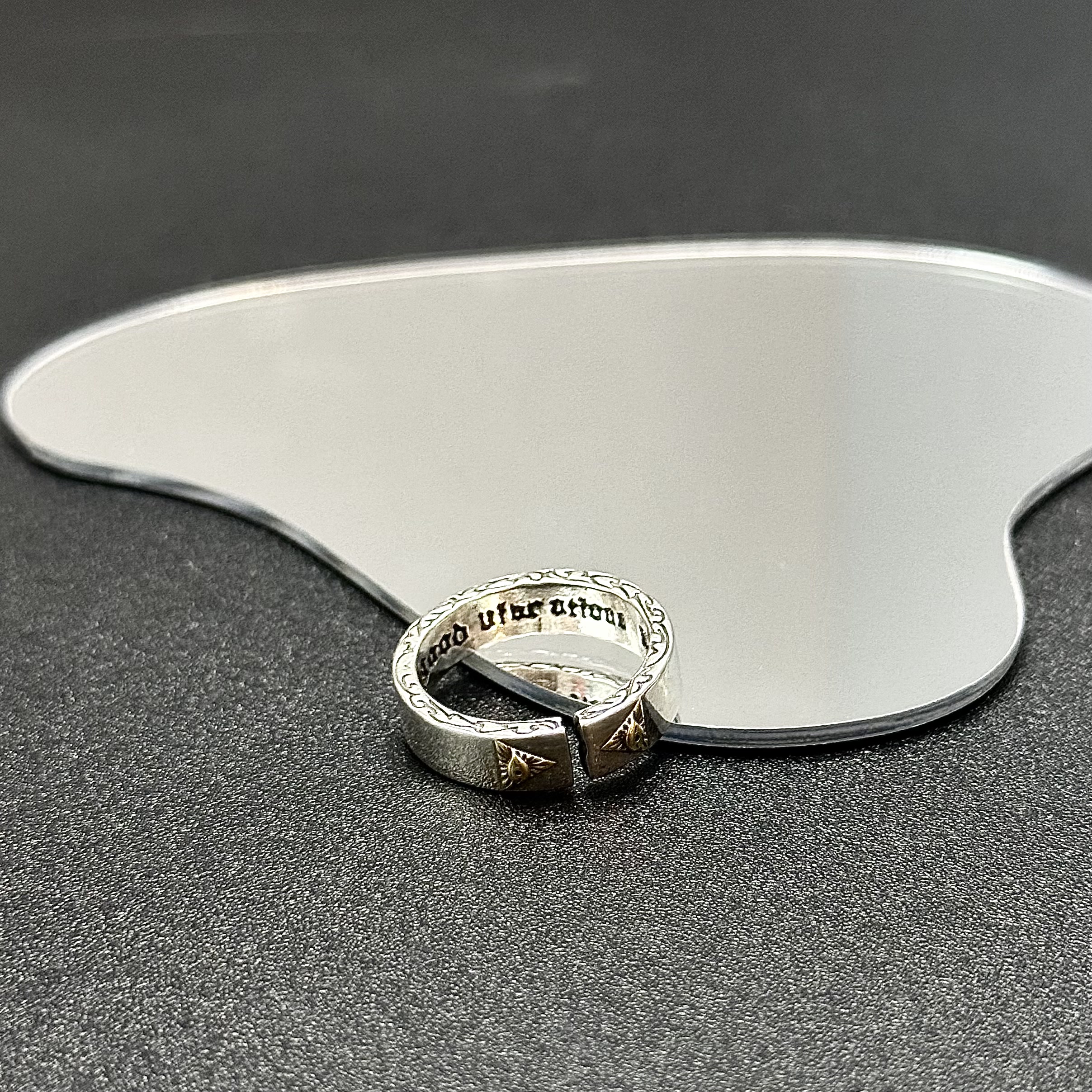 The Eye of Providence - Thiên Nhãn 2