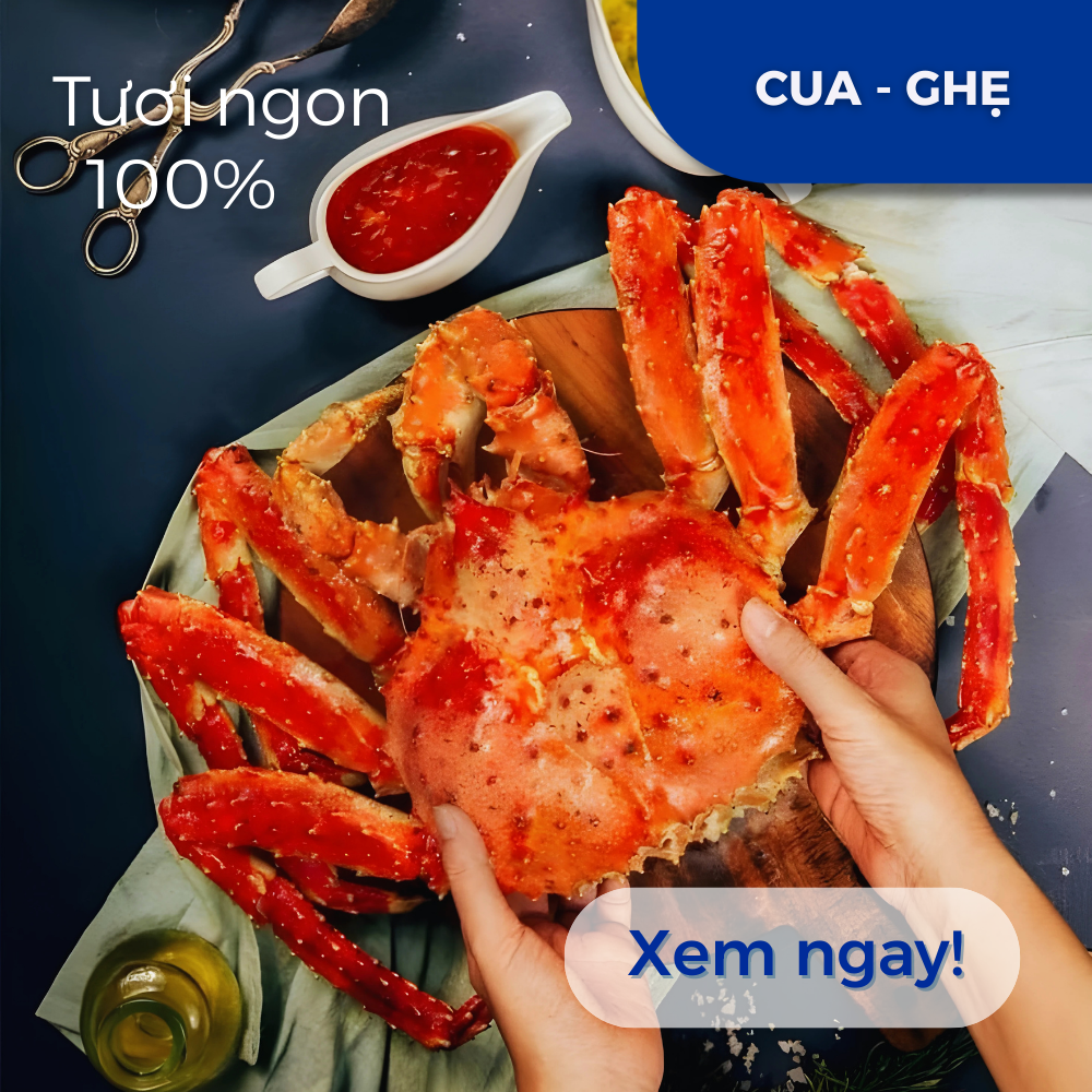 Ảnh đại diện danh mục (1000 x 1000 px) (13)(1)