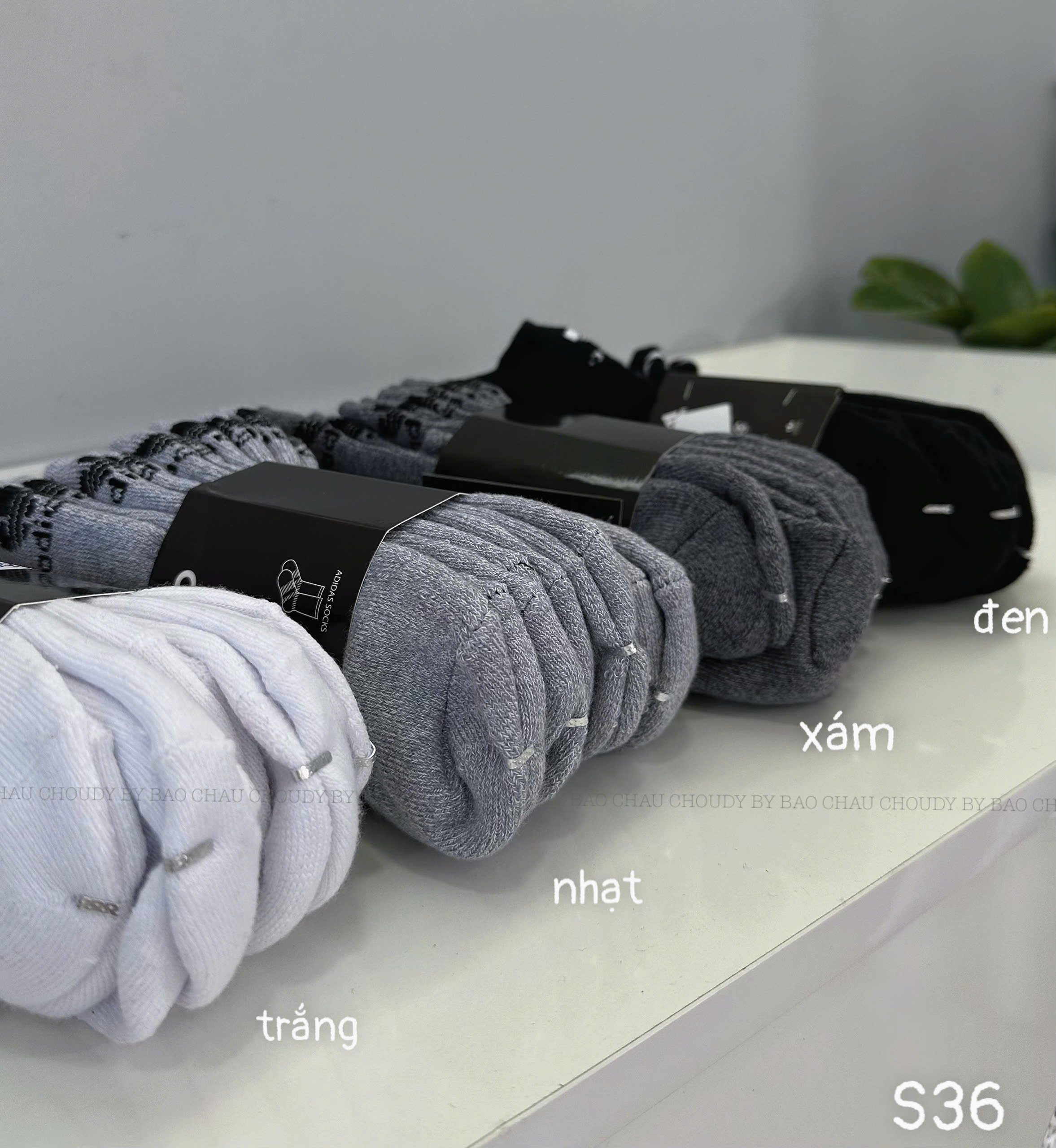 S36 SET 5 ĐÔI VỚ NGẮN_thumbnail_7