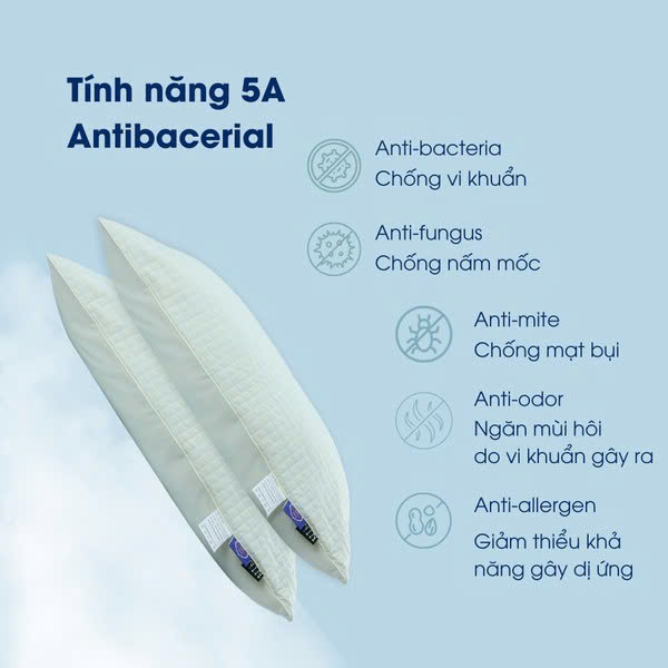 Gối Cloudy NIN House 48*74cm màu ngẫu nhiên