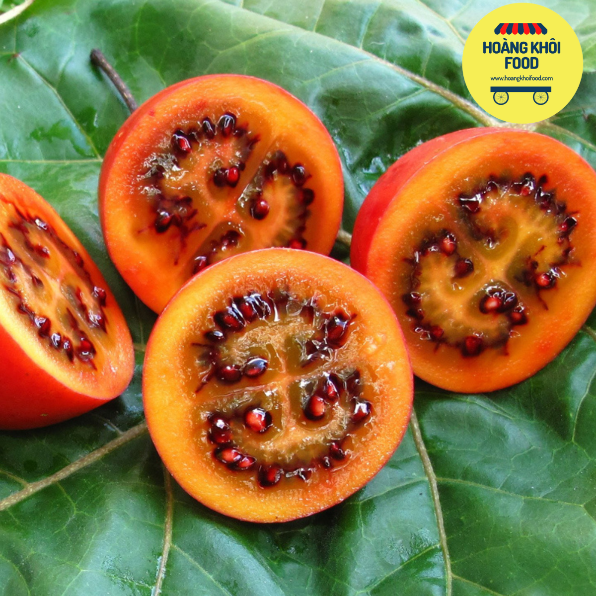 Cà Chua Thân Gỗ Tamarillo_thumbnail_2