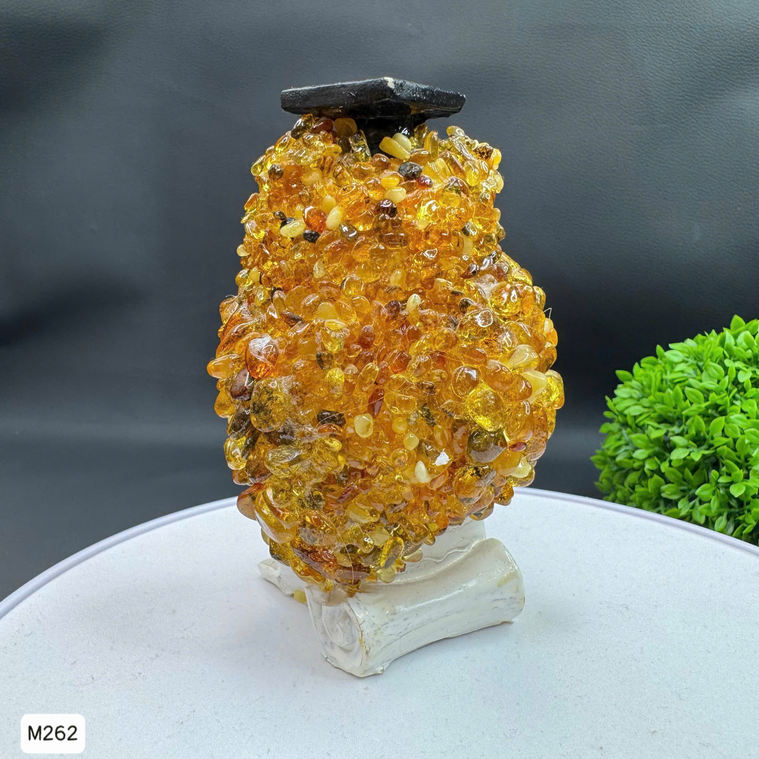 Cú Mèo Học Đường Hổ Phách Tự Nhiên - M262_thumbnail_3