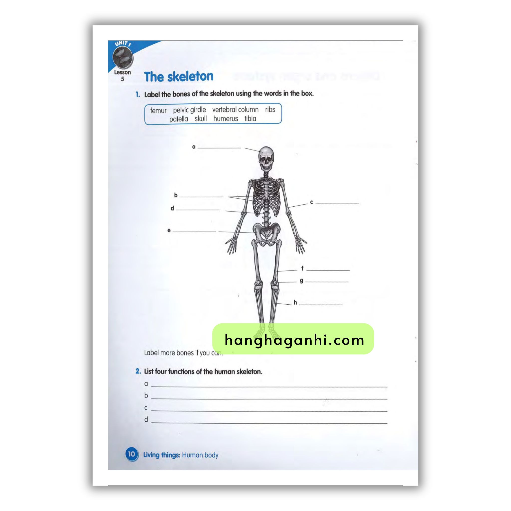 Macmillan Science 6 Workbook_thumbnail_5