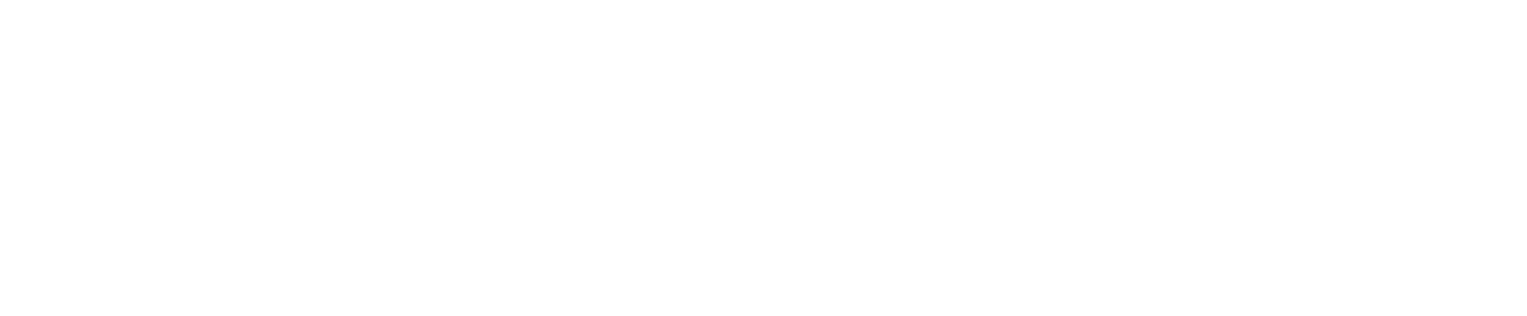 website (1)