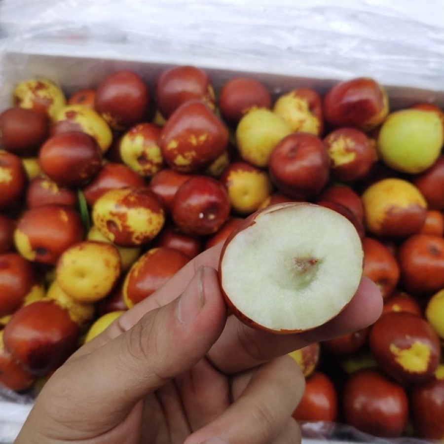 Hồng Táo Sữa Bò_thumbnail_1