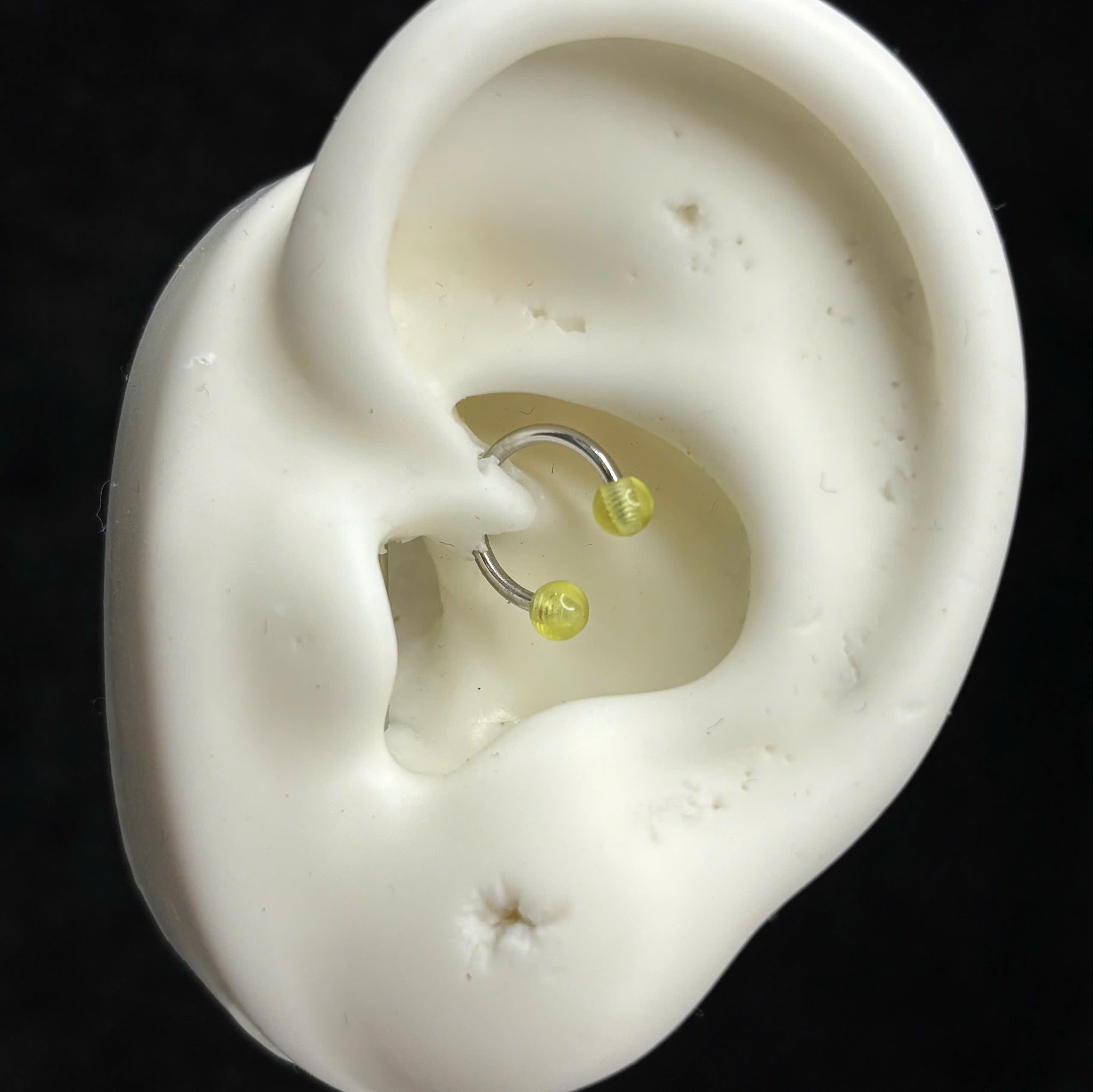 Septum hai quả bóng vàng