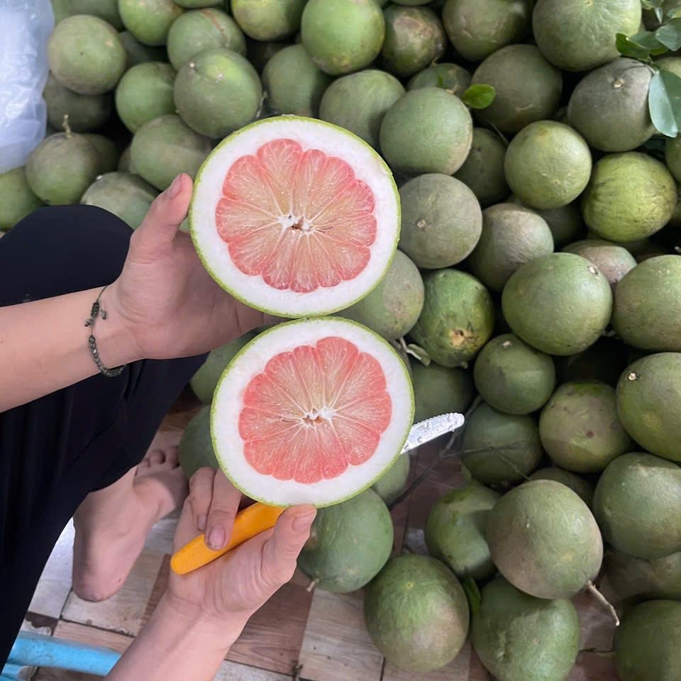 Bưởi Lão Da Xanh Ruột Đỏ_thumbnail_4