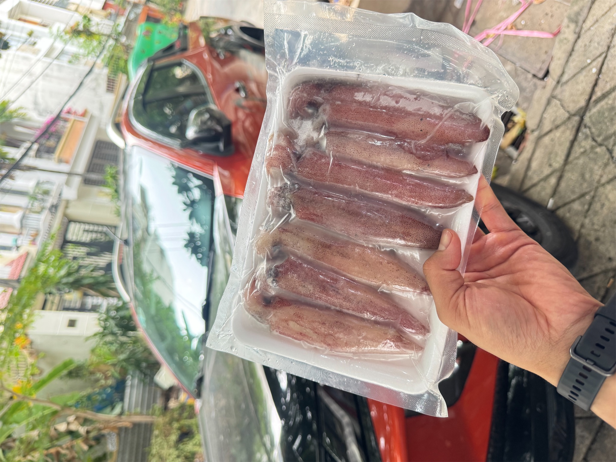 Mực Ống_thumbnail_2