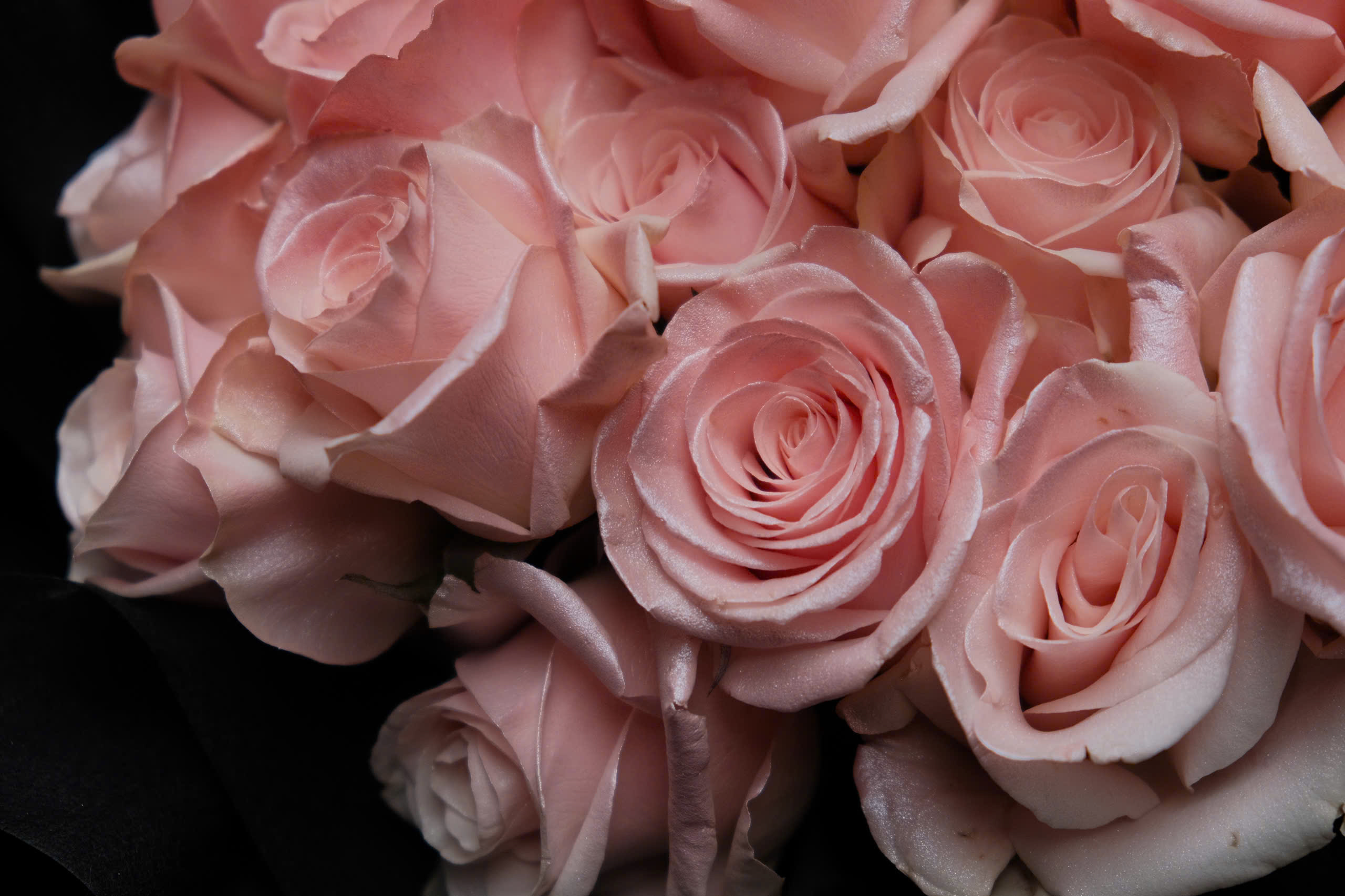 Bó hoa hồng Pink Blush - Giấy Đen - Size M