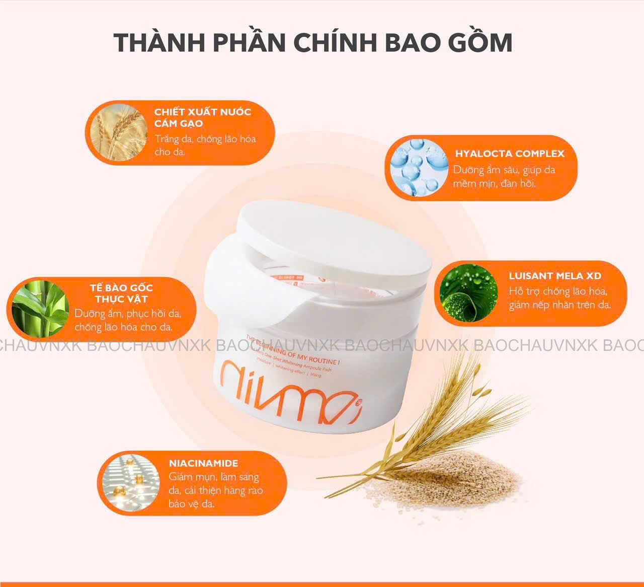 T21 TONER P@D_thumbnail_25