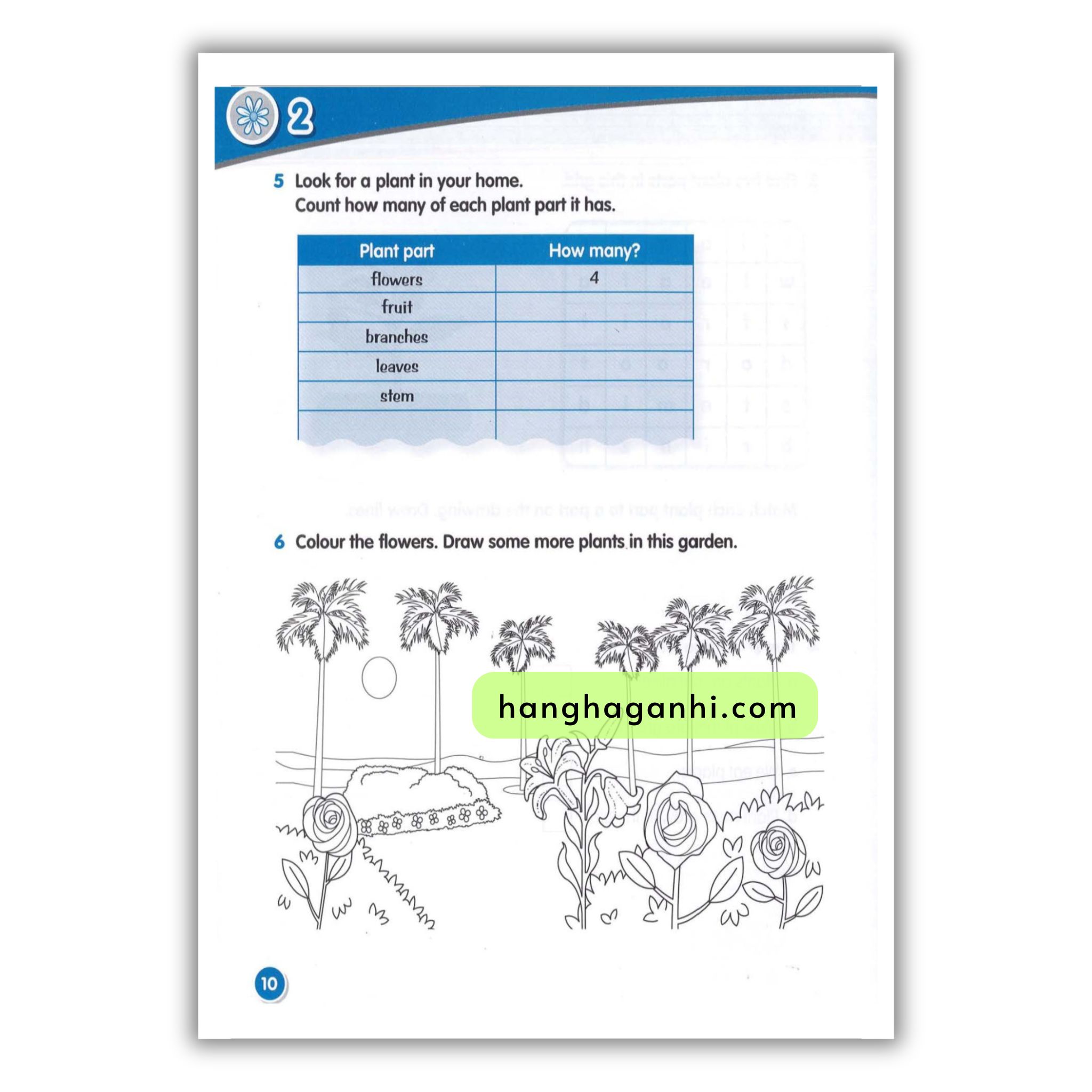 Macmillan Science 1 Workbook_thumbnail_19