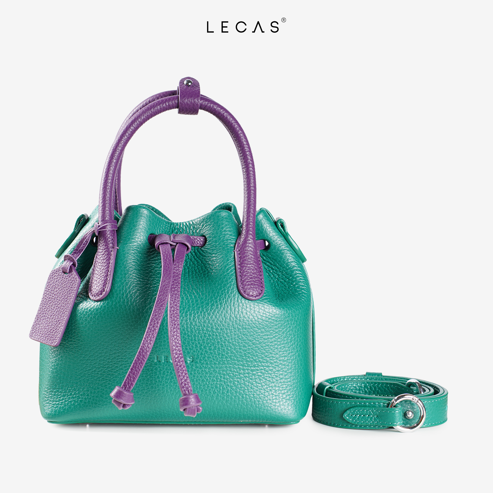 Cúc Nhí_thumbnail_4