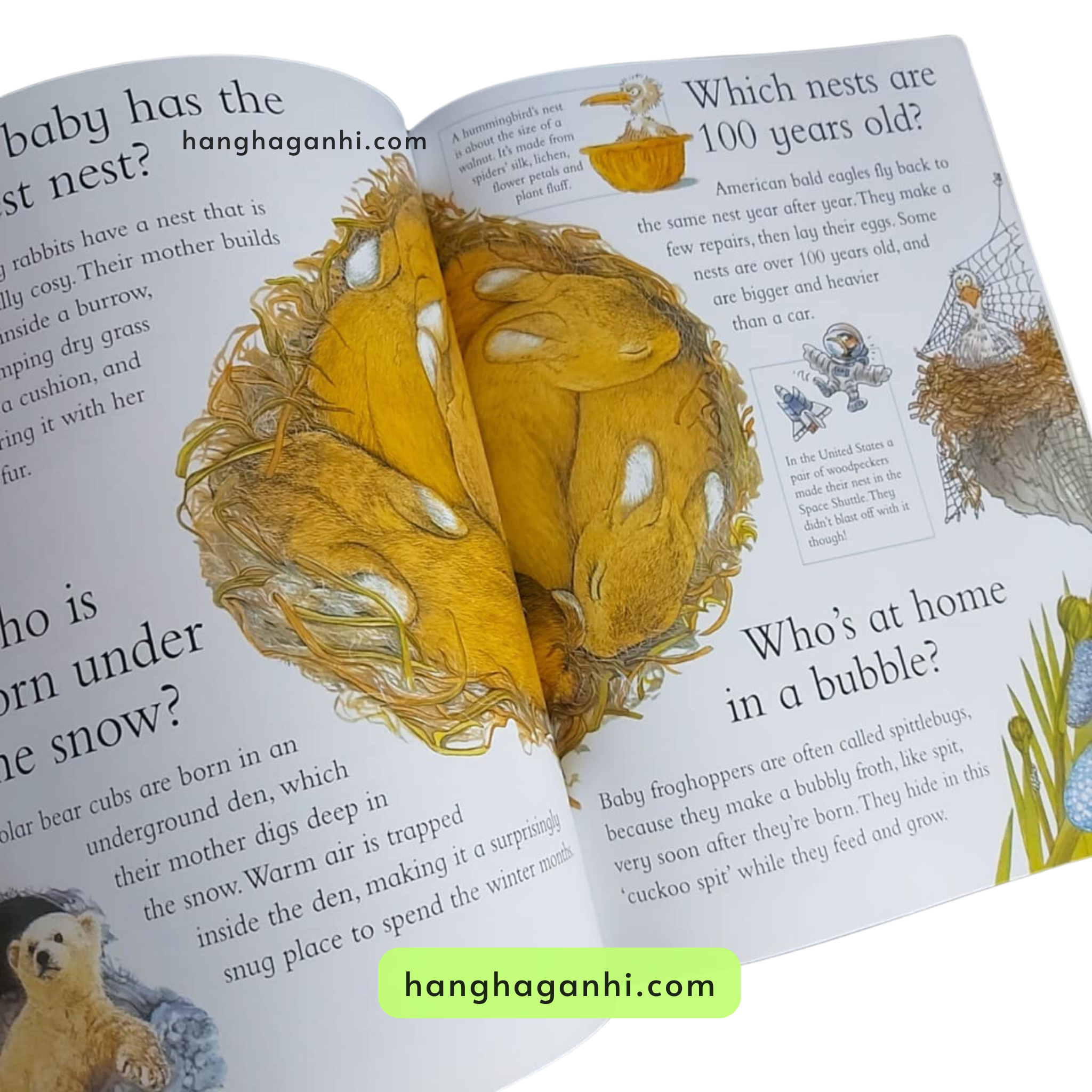 I wonder why, Bộ 24 cuốn Sách Khoa học cho bé nhập khẩu nguyên seal kèm file nghe giọng bản ngữ_thumbnail_16
