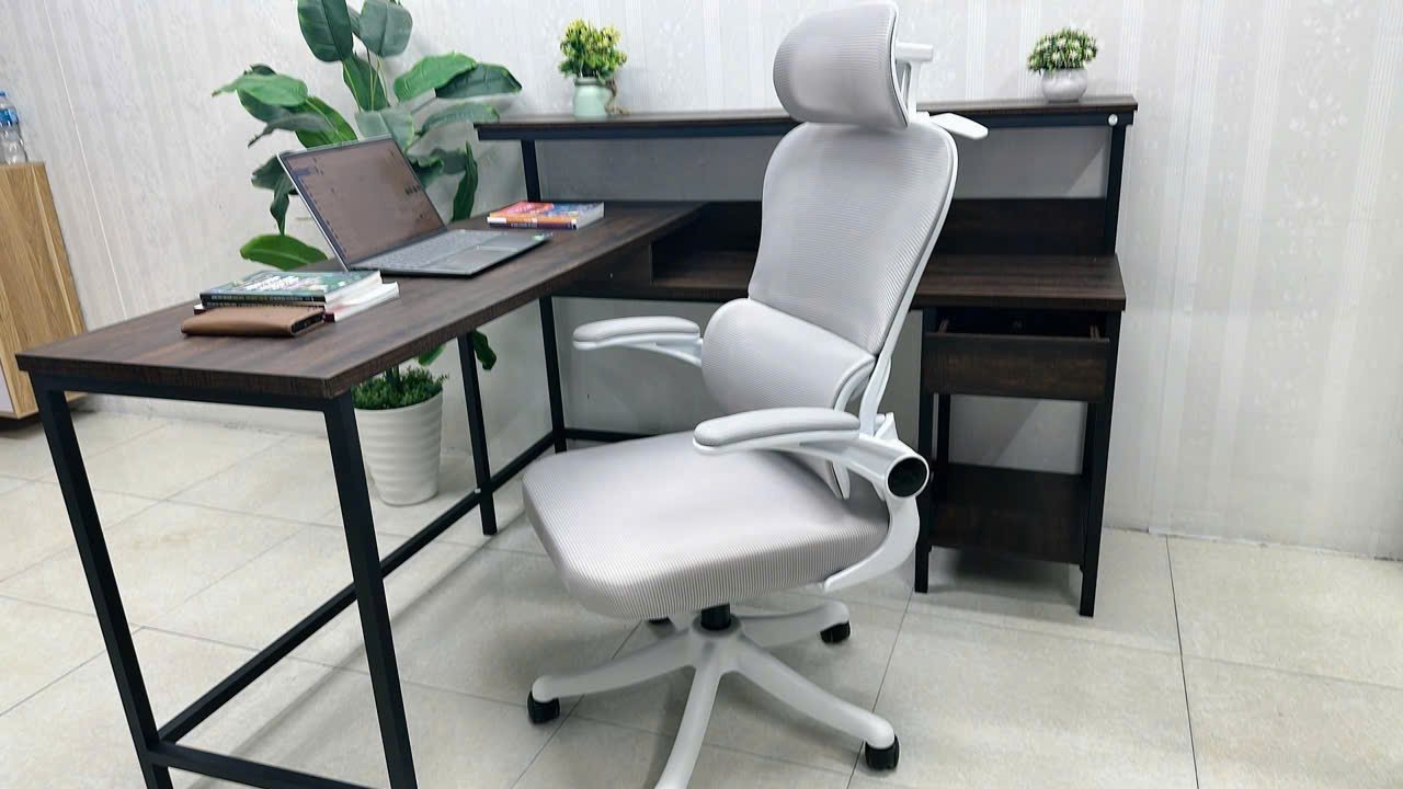 Ghế Công Thái Học LX05_thumbnail_1