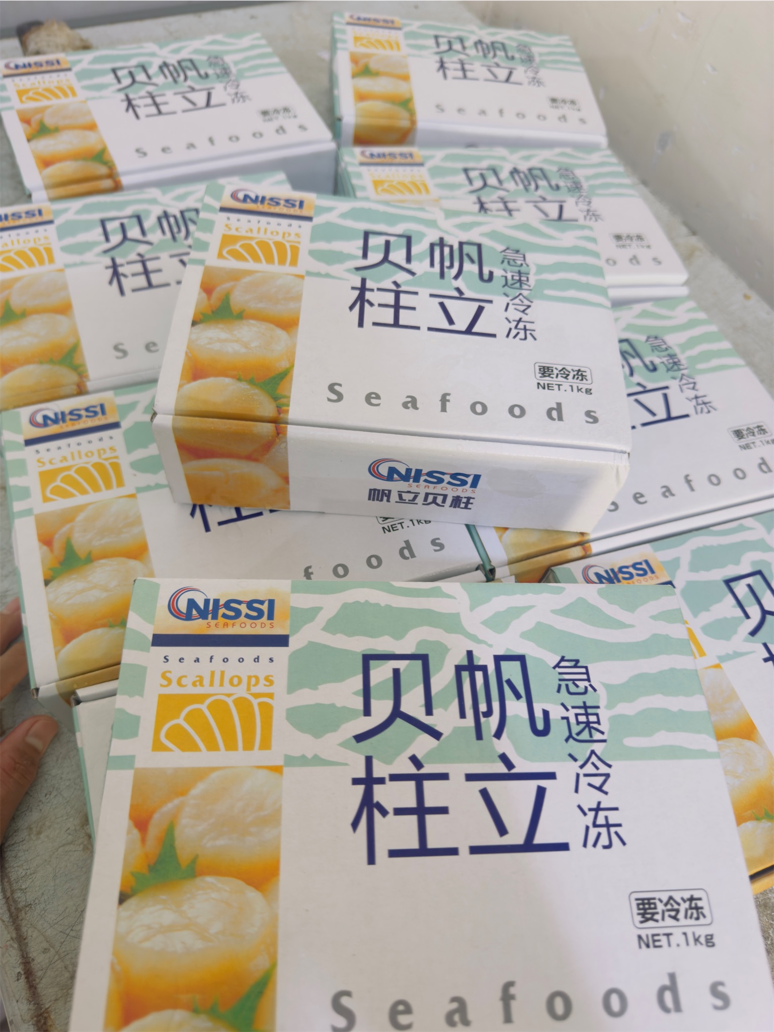Cồi Sò Điệp Nhật NISSI _thumbnail_1