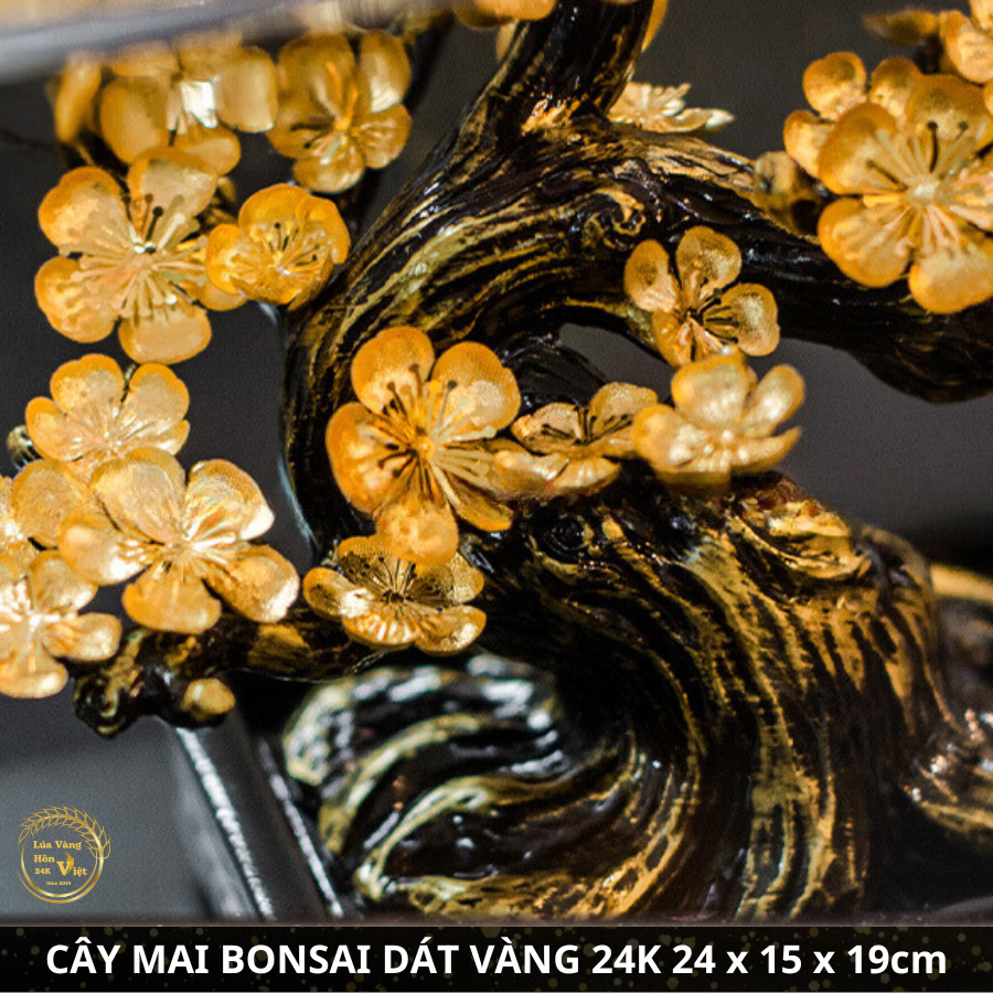 CÂY MAI BONSAI DÁT VÀNG 24K 24x15x19cm_thumbnail_3