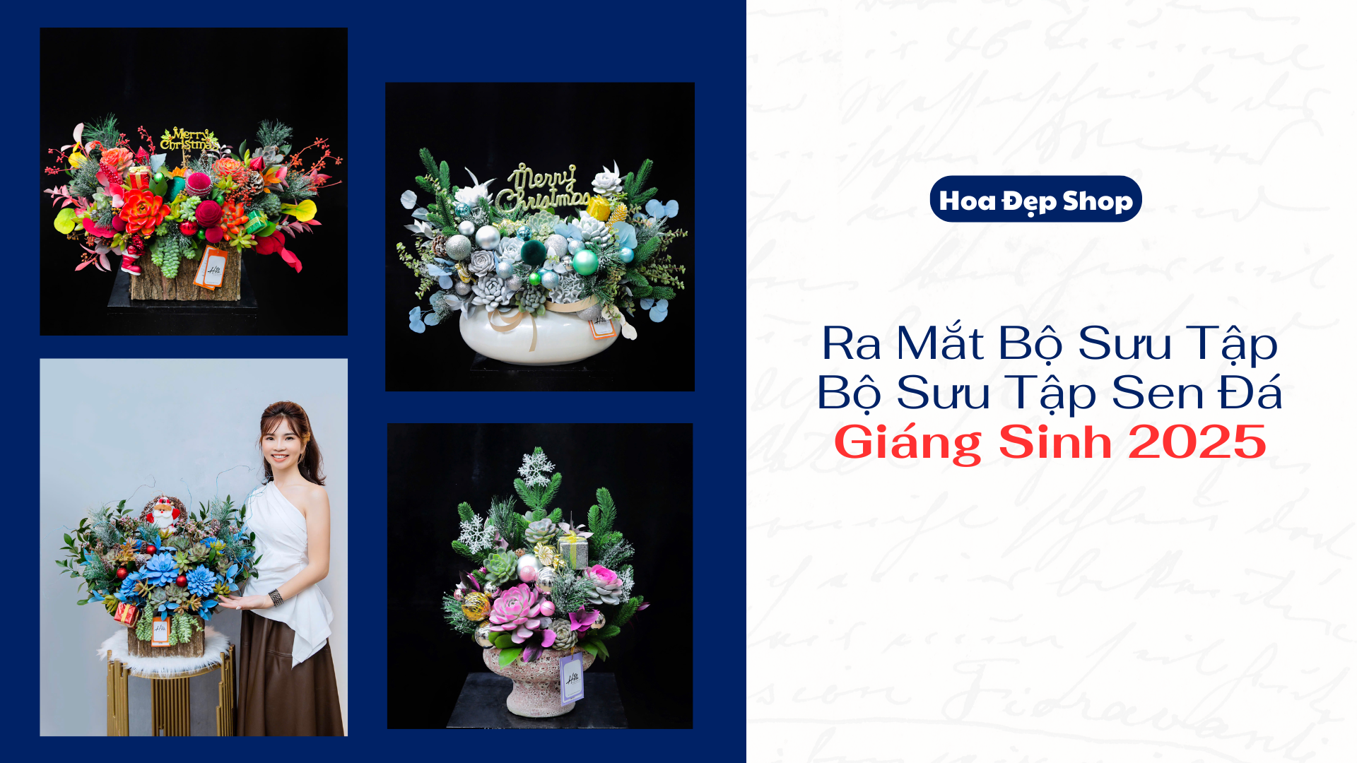 Bộ Sưu Tập Sen Đá Giáng Sinh 2025