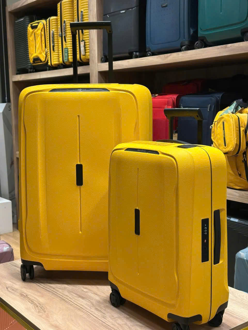 Vali SAMSONITE ESSENS SPINNER_thumbnail_4