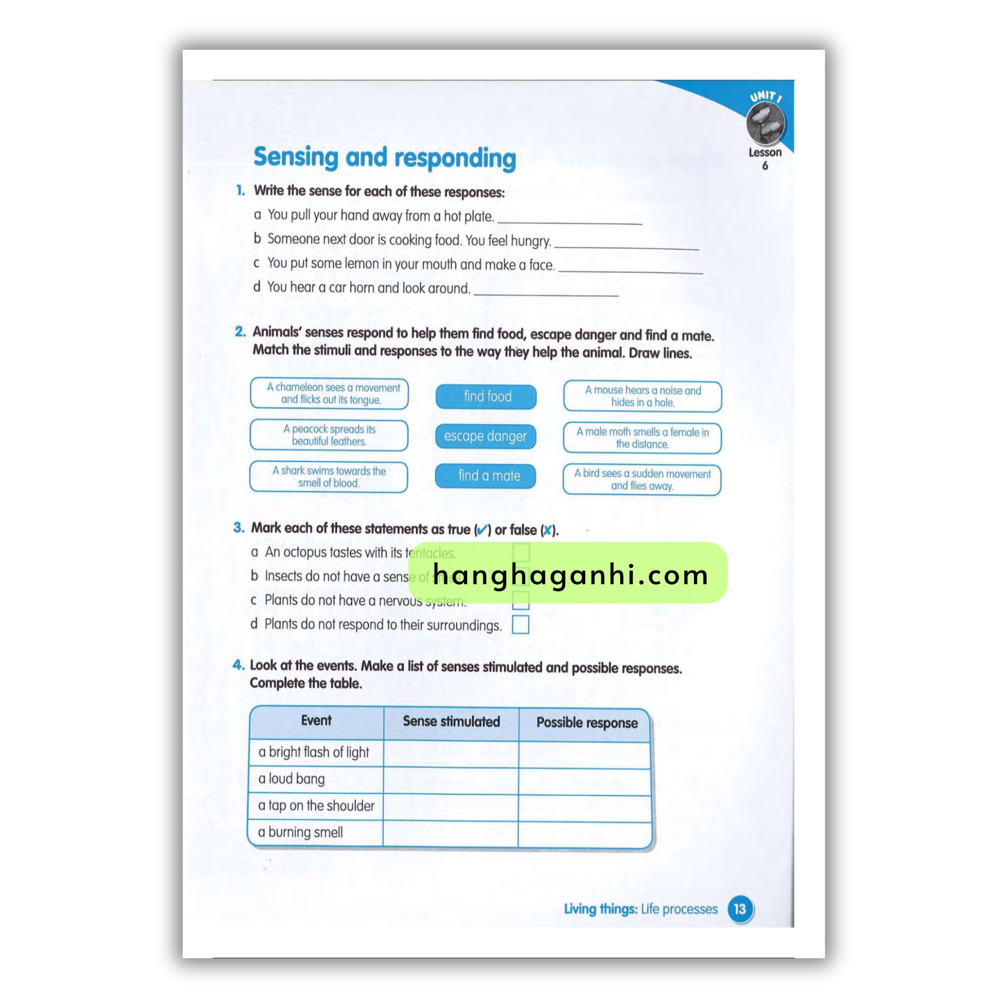 Macmillan Science 4 Workbook_thumbnail_14