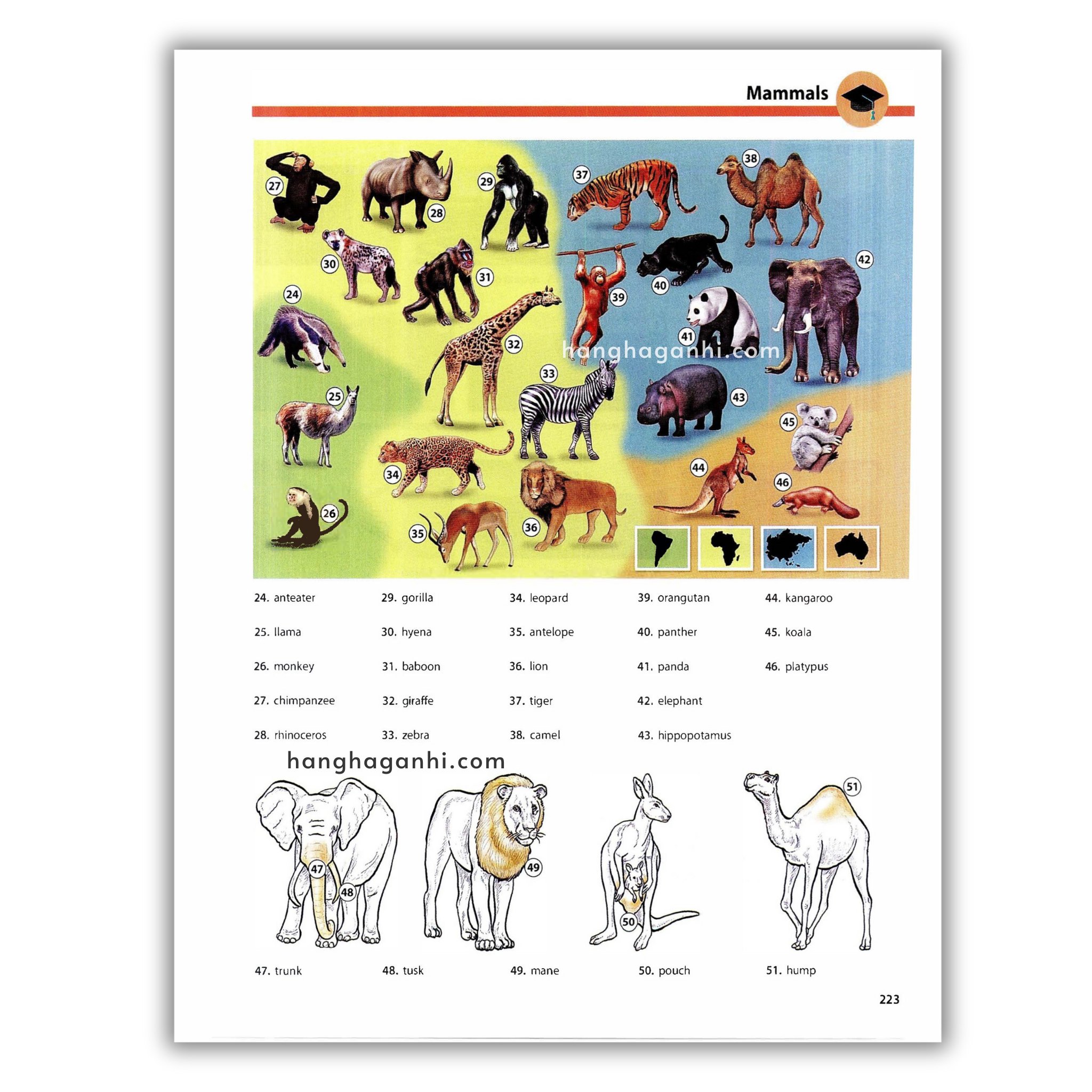 Oxford Picture Dictionary Third Edition: Từ điển Tiếng Anh_thumbnail_10