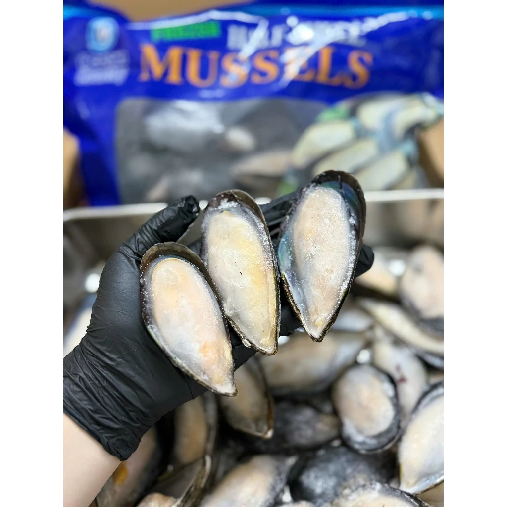 Vẹm đen nửa mảnh _thumbnail_2