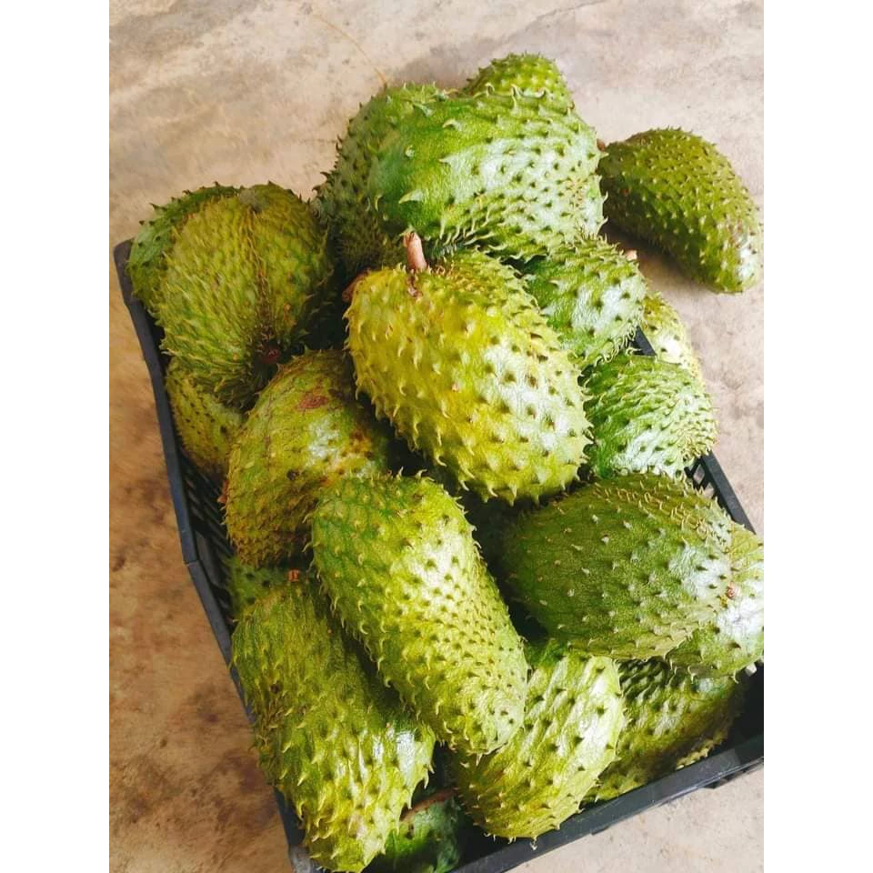 Mãng Cầu Xiêm_thumbnail_1