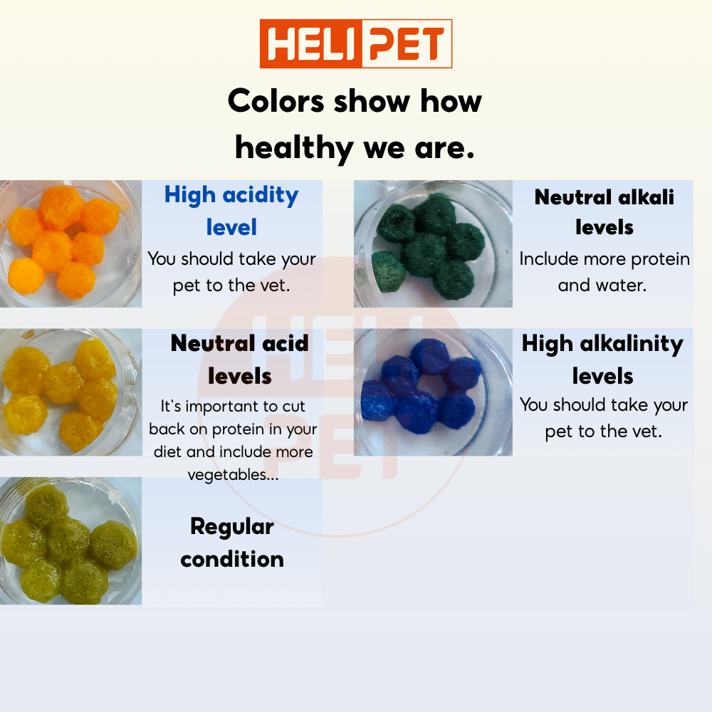 Dr.VET Cat Urine pH Test Kit