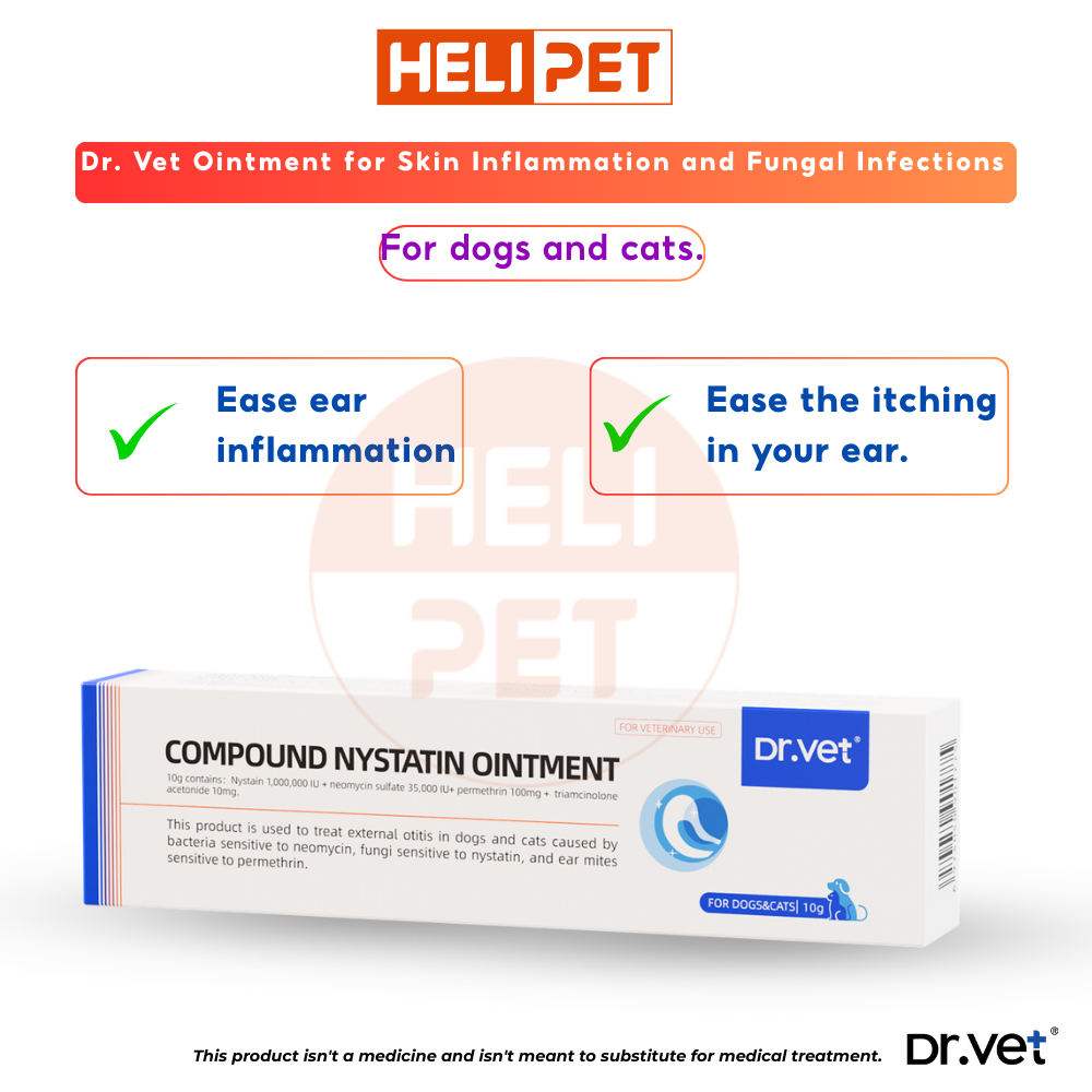 DR.VET Ointment for treating ear infections and fungal ear infections in dogs and cats.
