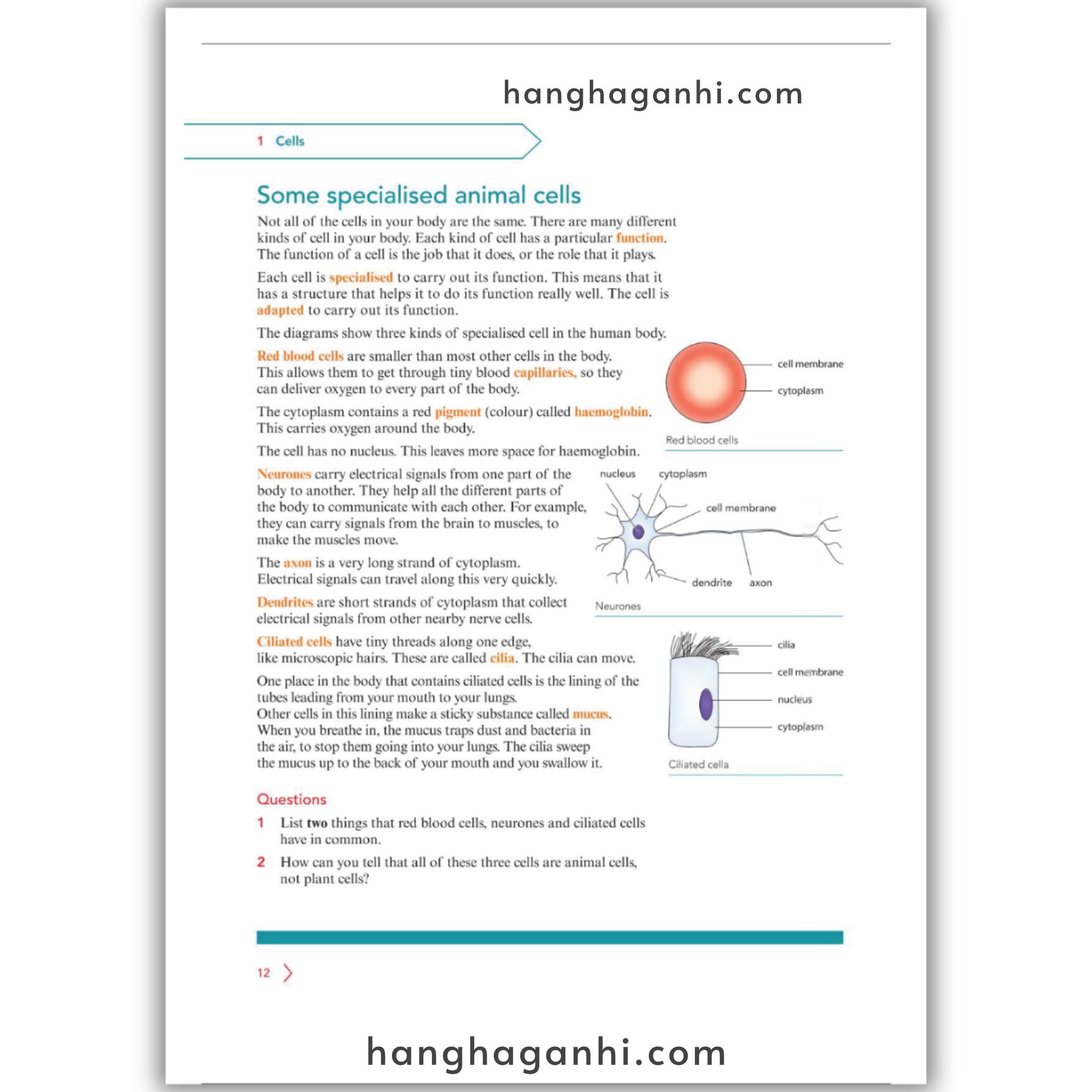 Cambridge Level 7 Lower Seconday Science Learner’s Book and Workbook 2nd Edition 2021_thumbnail_4