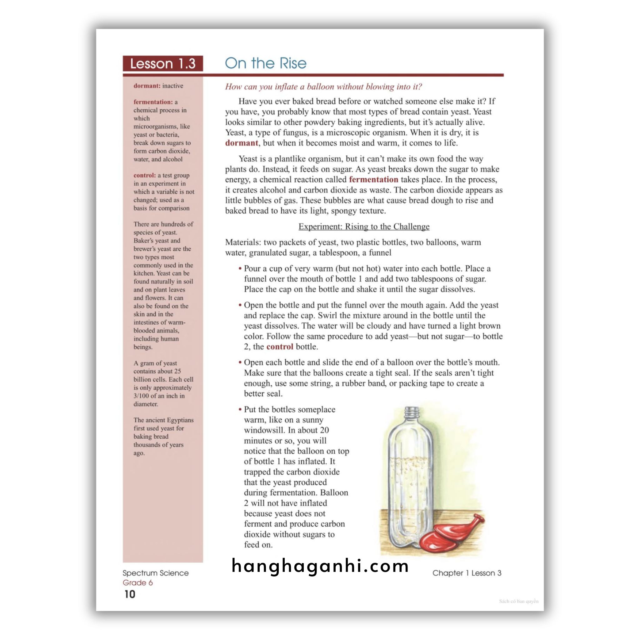 Sách Spectrum Science Workbook Grade 6_thumbnail_14