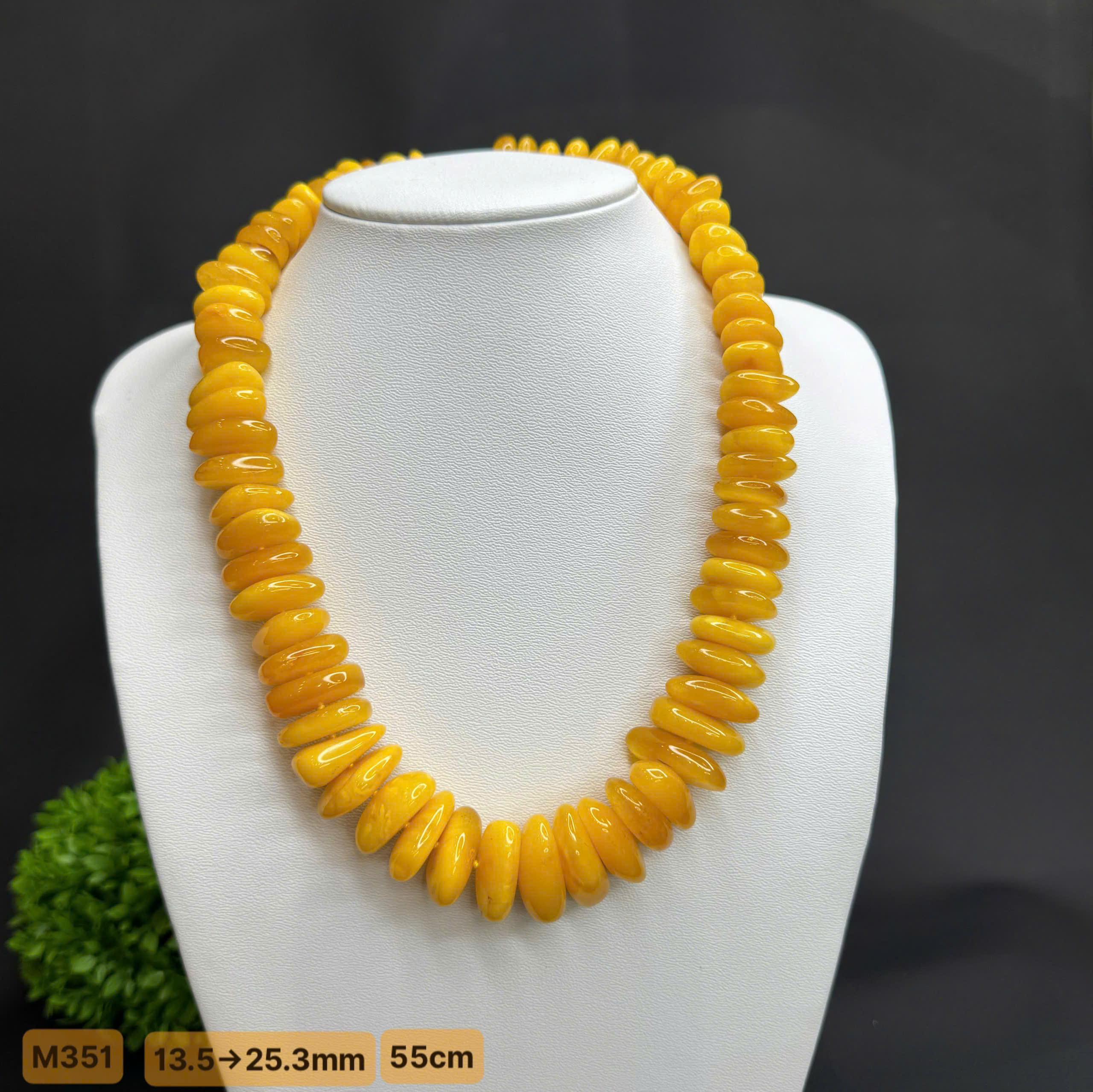 Vòng Cổ Mật - M351