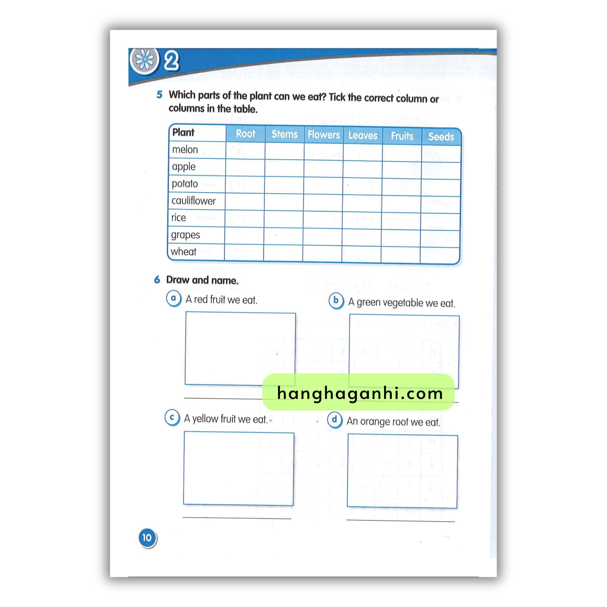 Macmillan Science 2 Workbook_thumbnail_12
