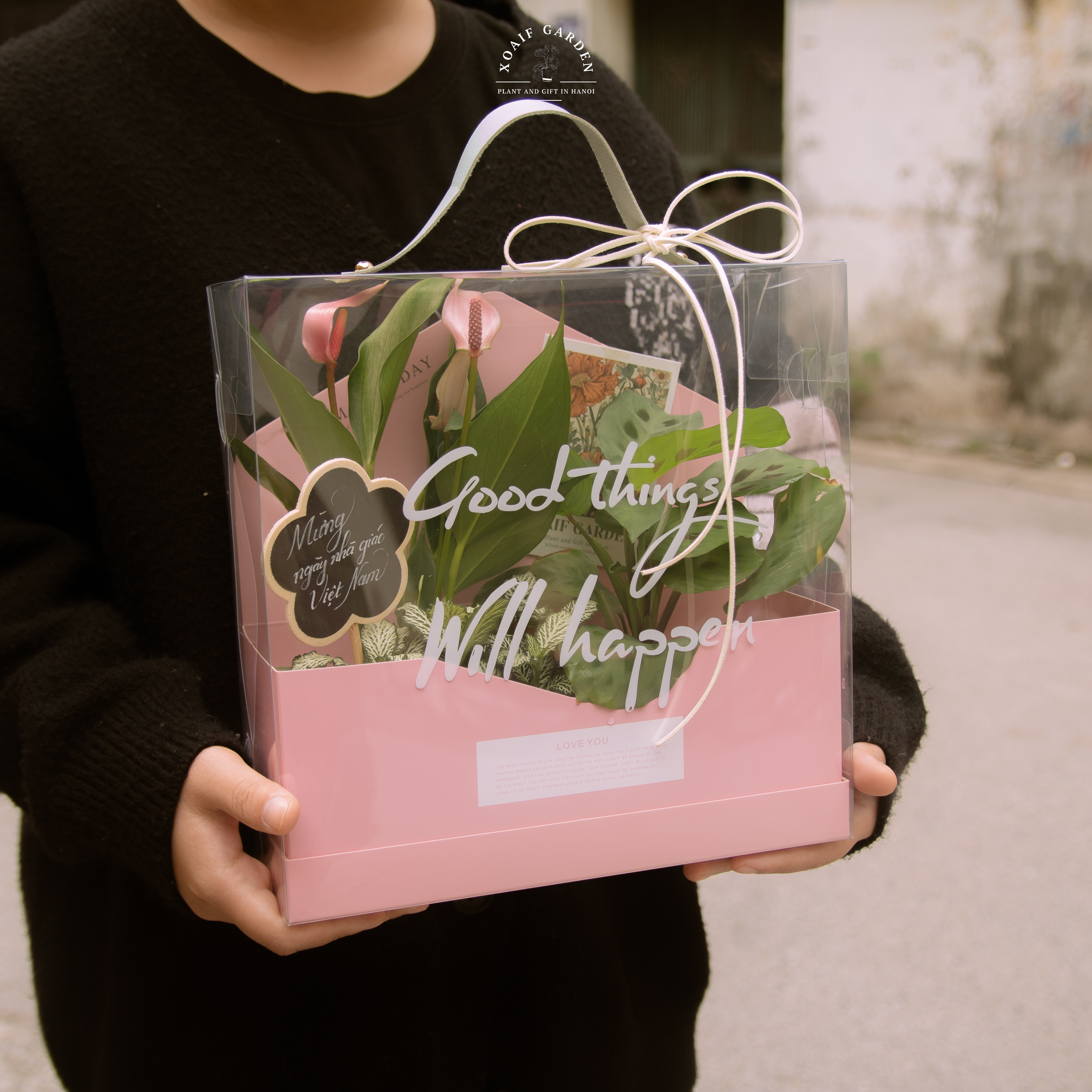 SET HỘP QUÀ CÂY MIX AN YÊN_thumbnail_4