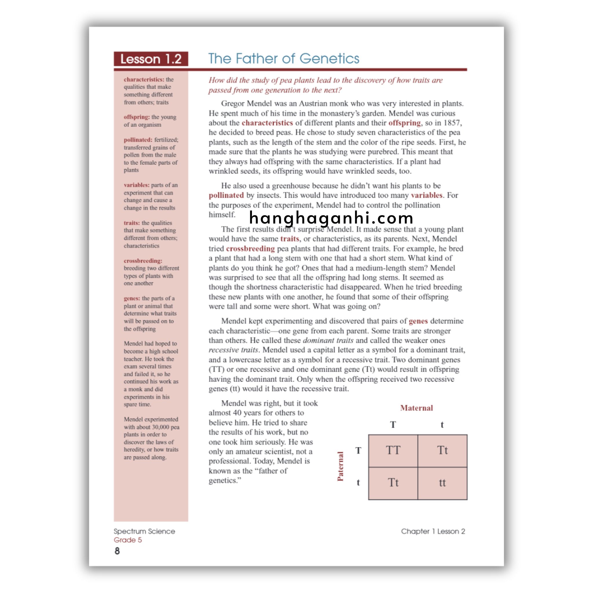 Sách Spectrum Science Workbook Grade 5_thumbnail_5