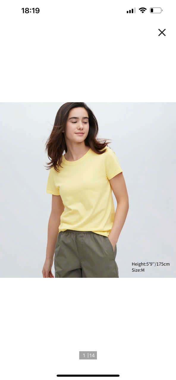 SALE A2202 ÁO THUN 10 MÀU (TRỘN MÀU)_thumbnail_10