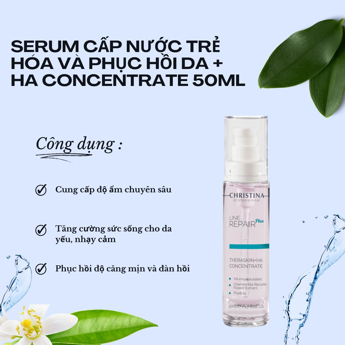 Thành phần Serum Cấp Nước Trẻ Hóa và Phục Hồi Da + HA Concentrate 50ml