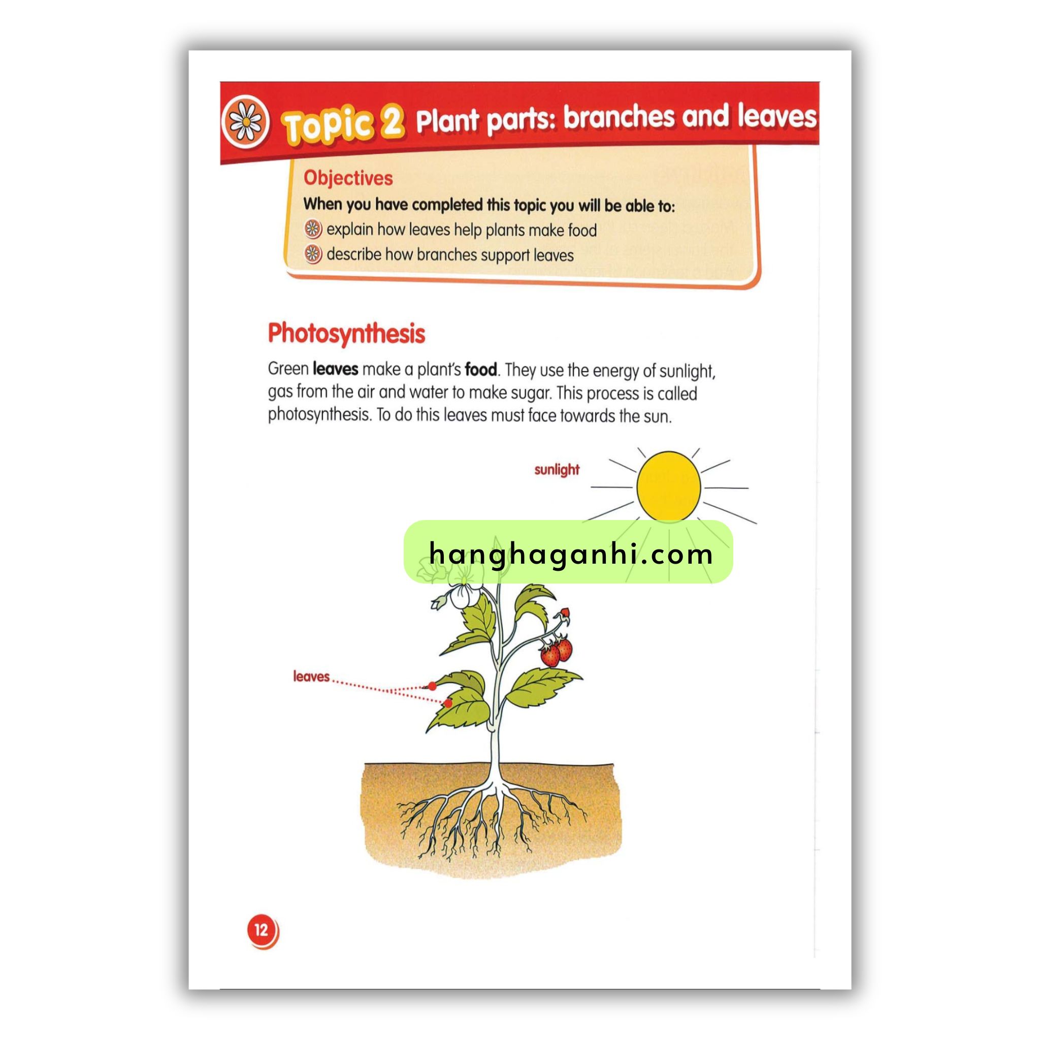 Macmillan Science 3 Pupil’s book_thumbnail_5