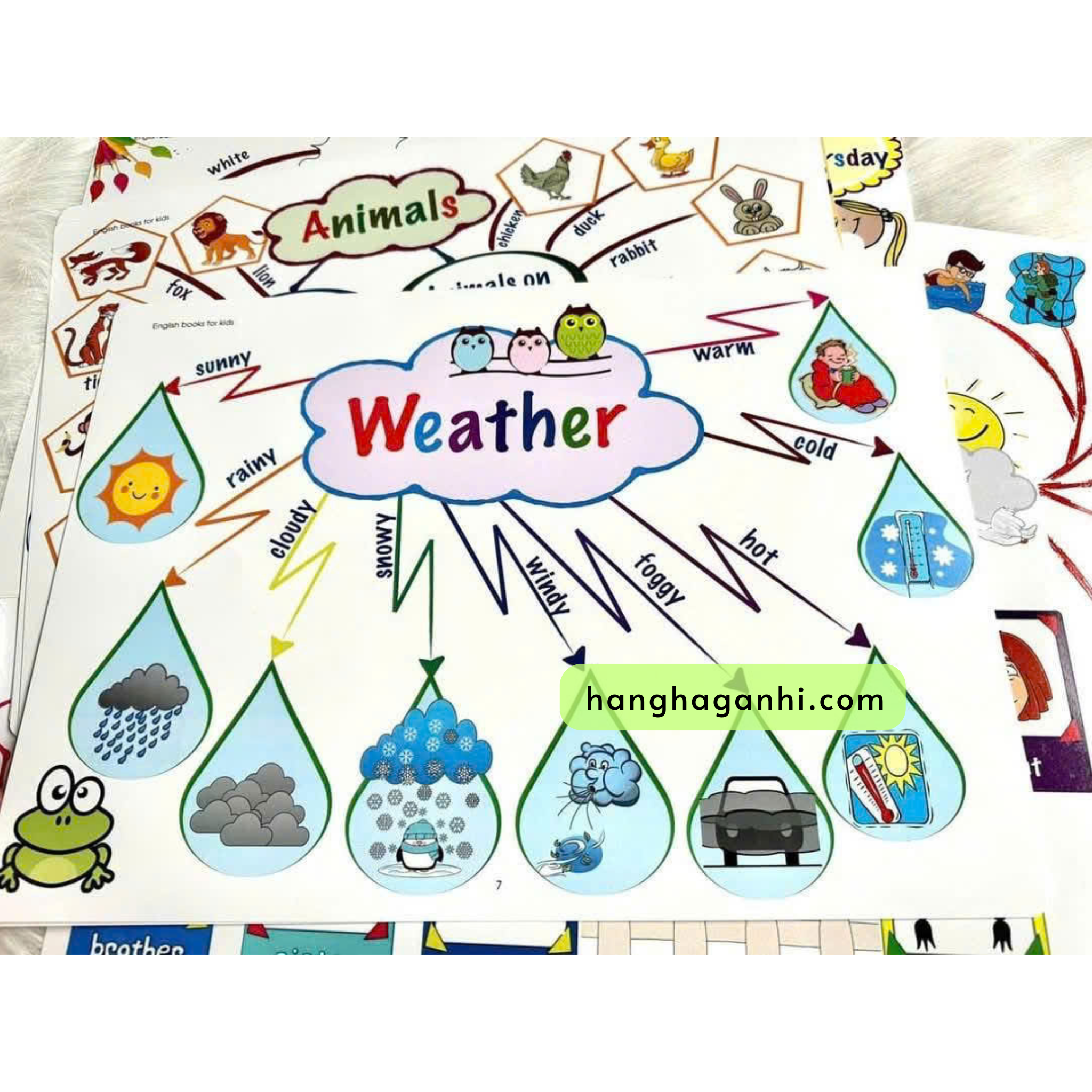 Mindmap 13 chủ đề khổ A4 học từ vựng Tiếng Anh cho bé_thumbnail_2