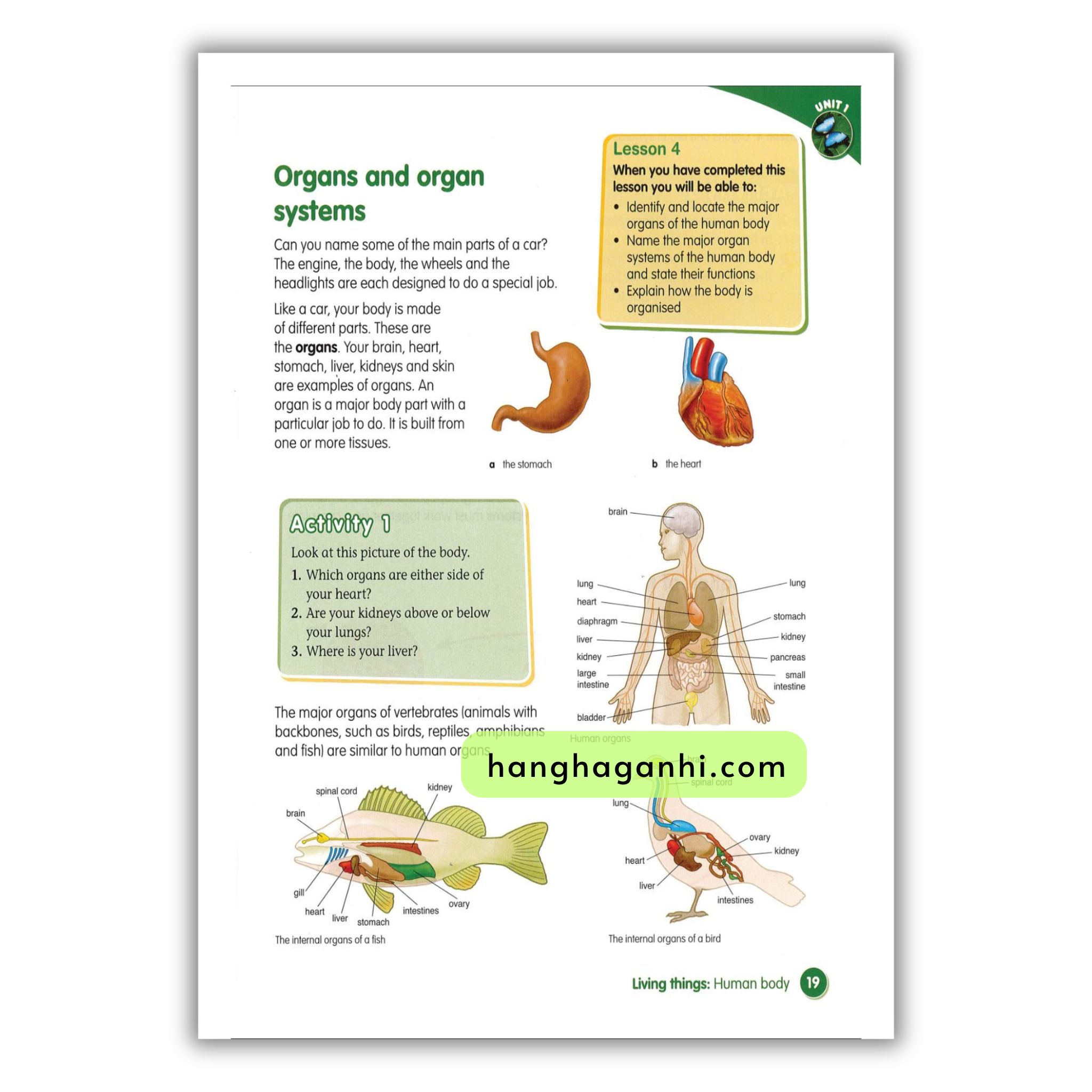Macmillan Science 6 Pupil’s book_thumbnail_5