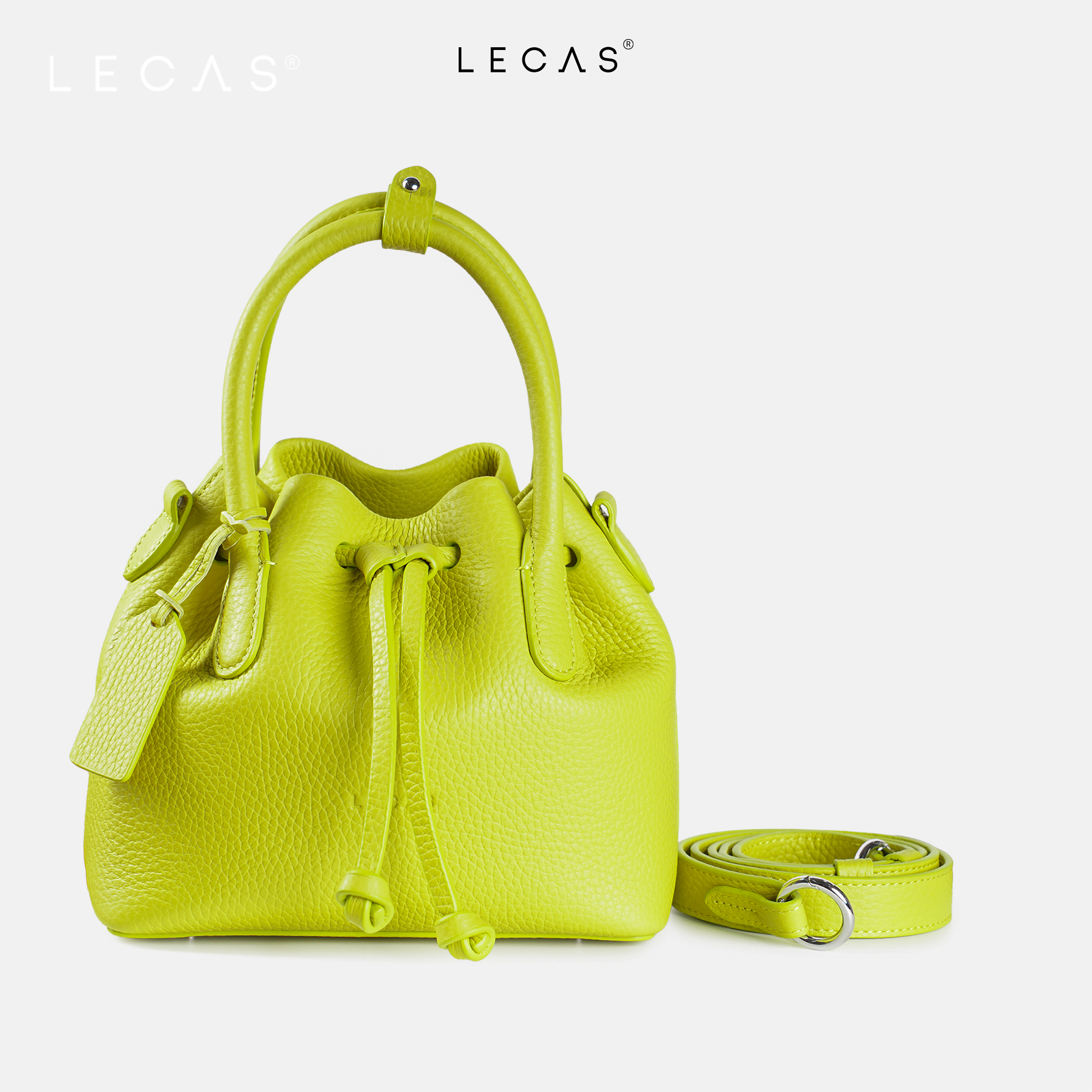 Cúc Nhí_thumbnail_3