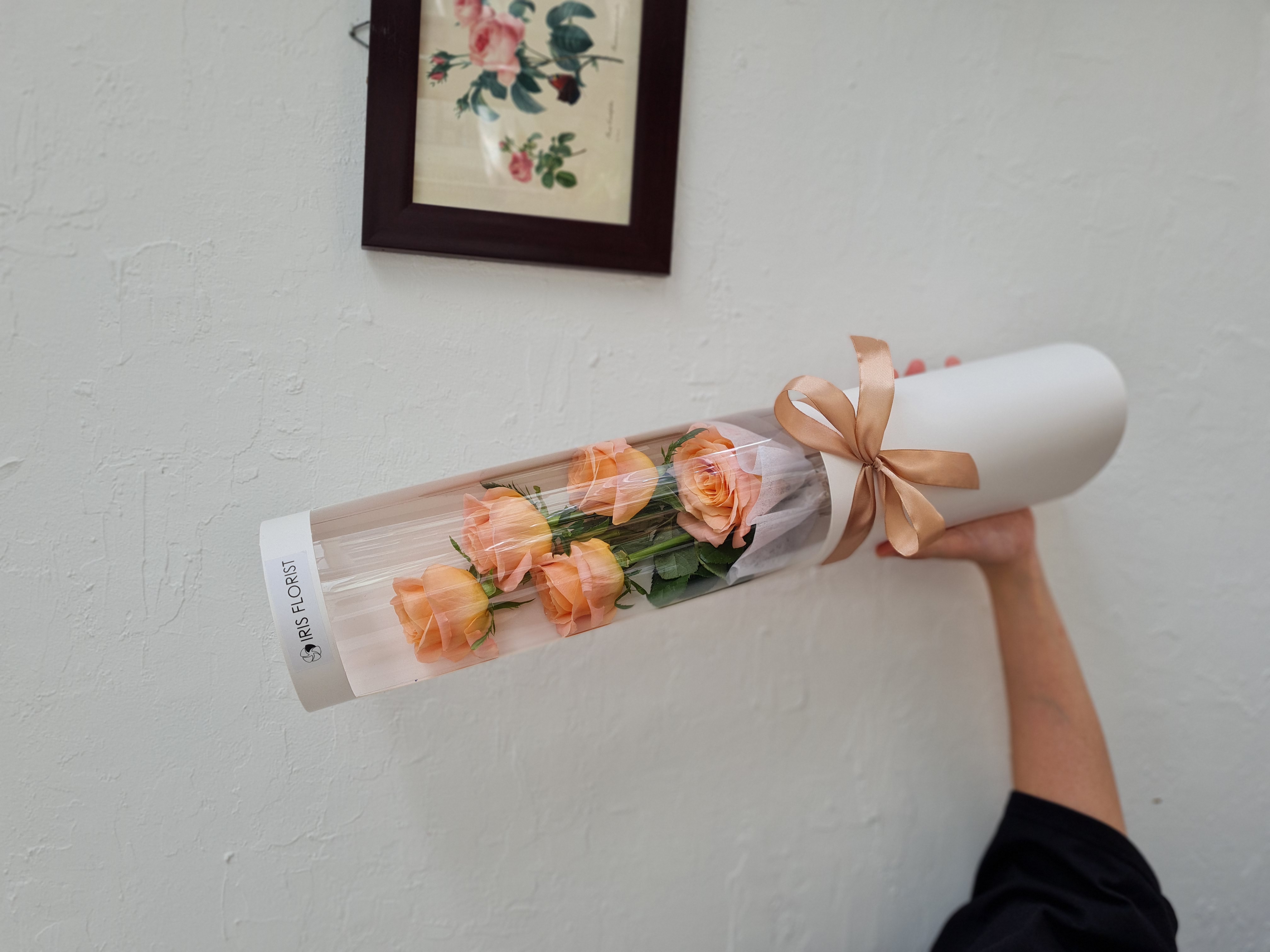 Love in a Bottle - Set 5 Bông Shimmer/Juliet Rose