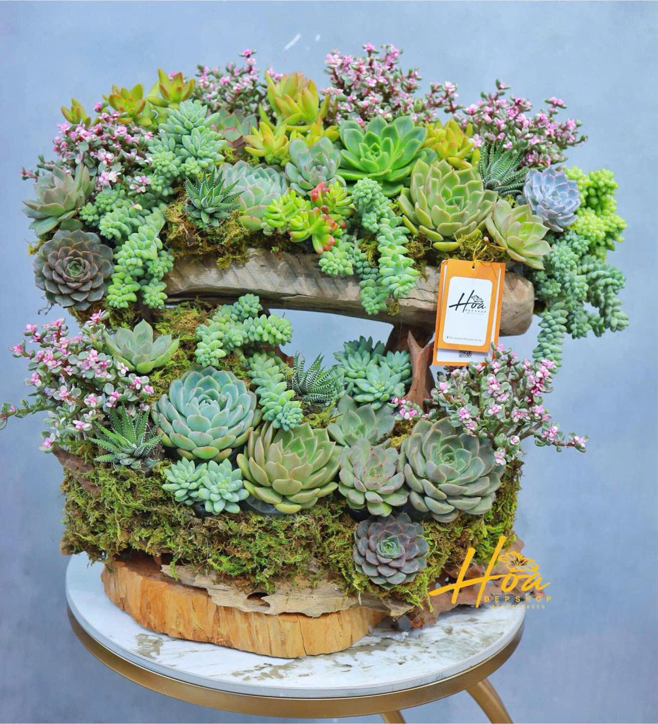 Lũa sen đá cao cấp 1