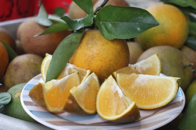 Cam Vinh_thumbnail_3