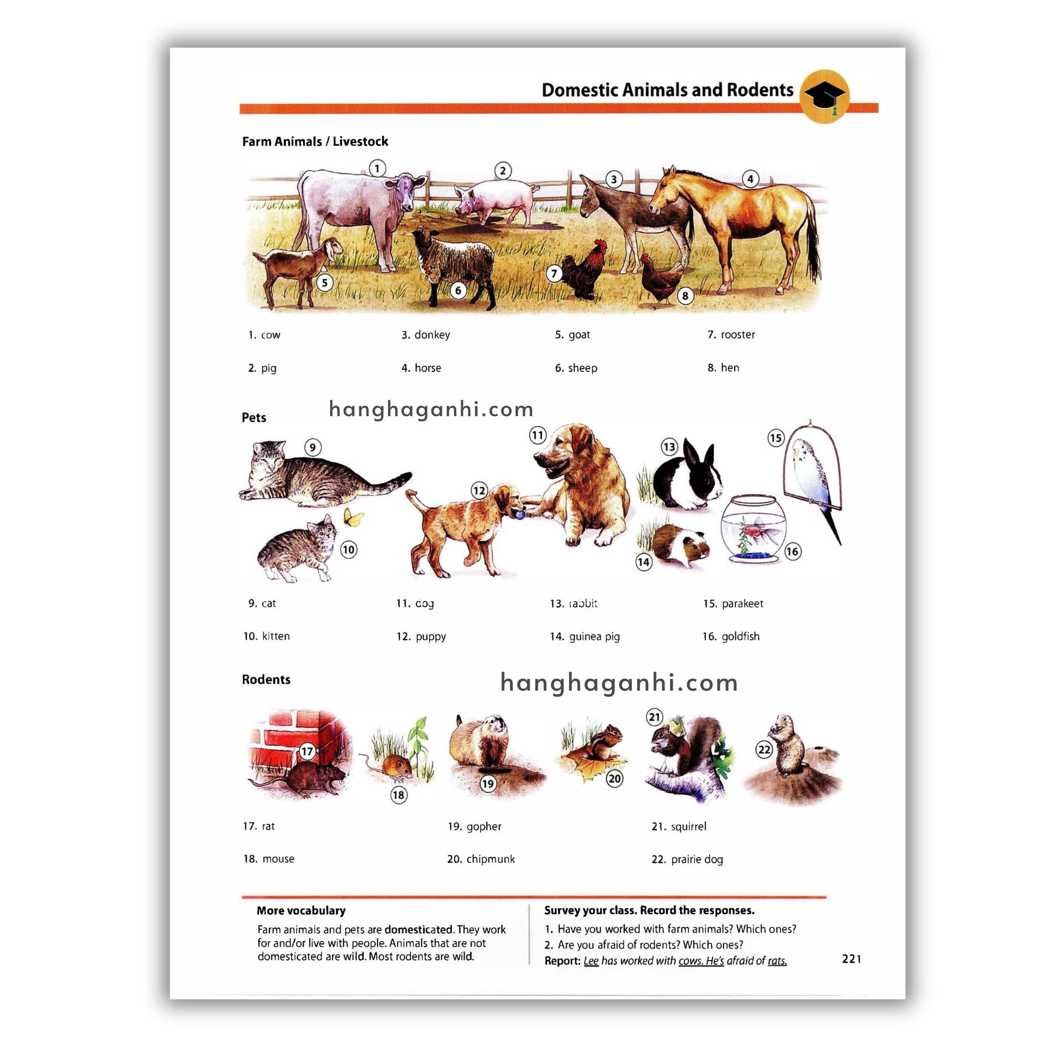 Oxford Picture Dictionary Third Edition: Từ điển Tiếng Anh_thumbnail_1