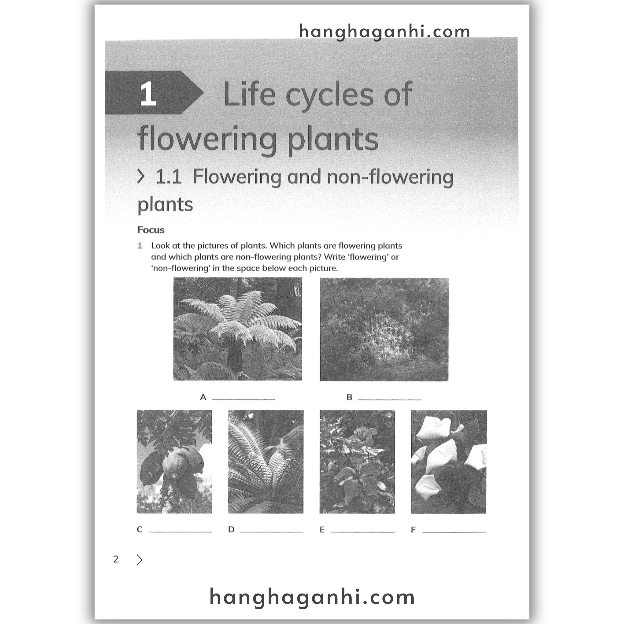 Cambridge Level 5 Primary Science Learner’s Book and Workbook 2nd edition 2021_thumbnail_10