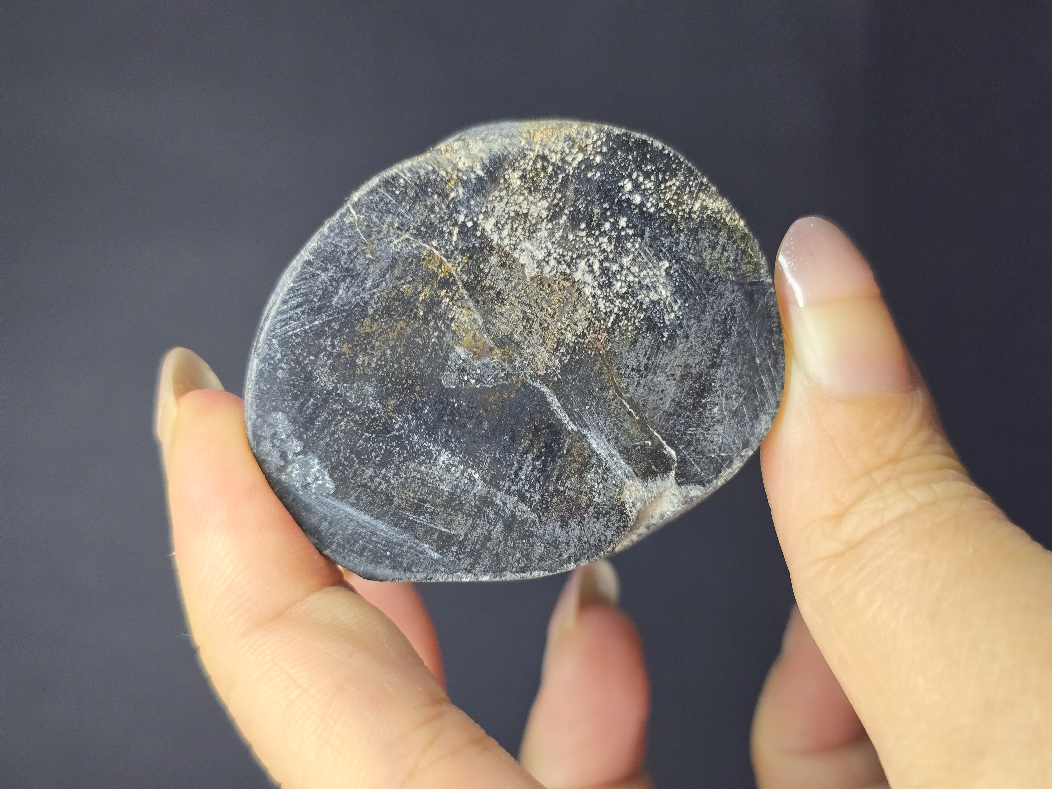 Gỗ Hóa Thạch Đã Được Mài Bóng 2 Mặt_thumbnail_7