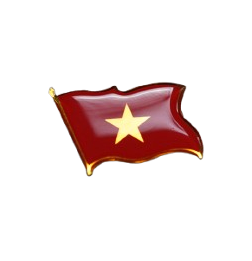 Ghim Cài Áo Việt Nam